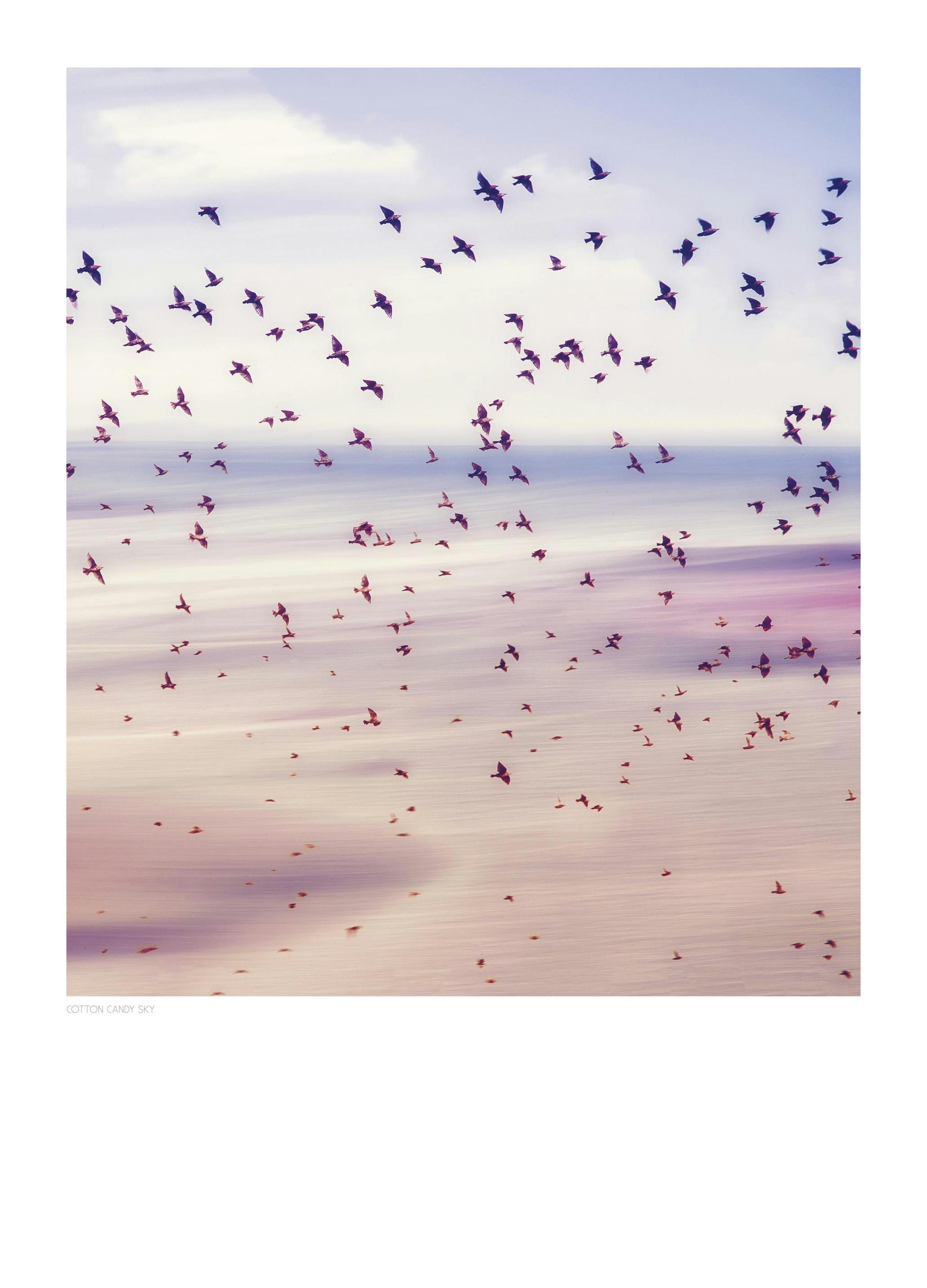 Cotton Candy Sky, Plagát (50x70 cm)