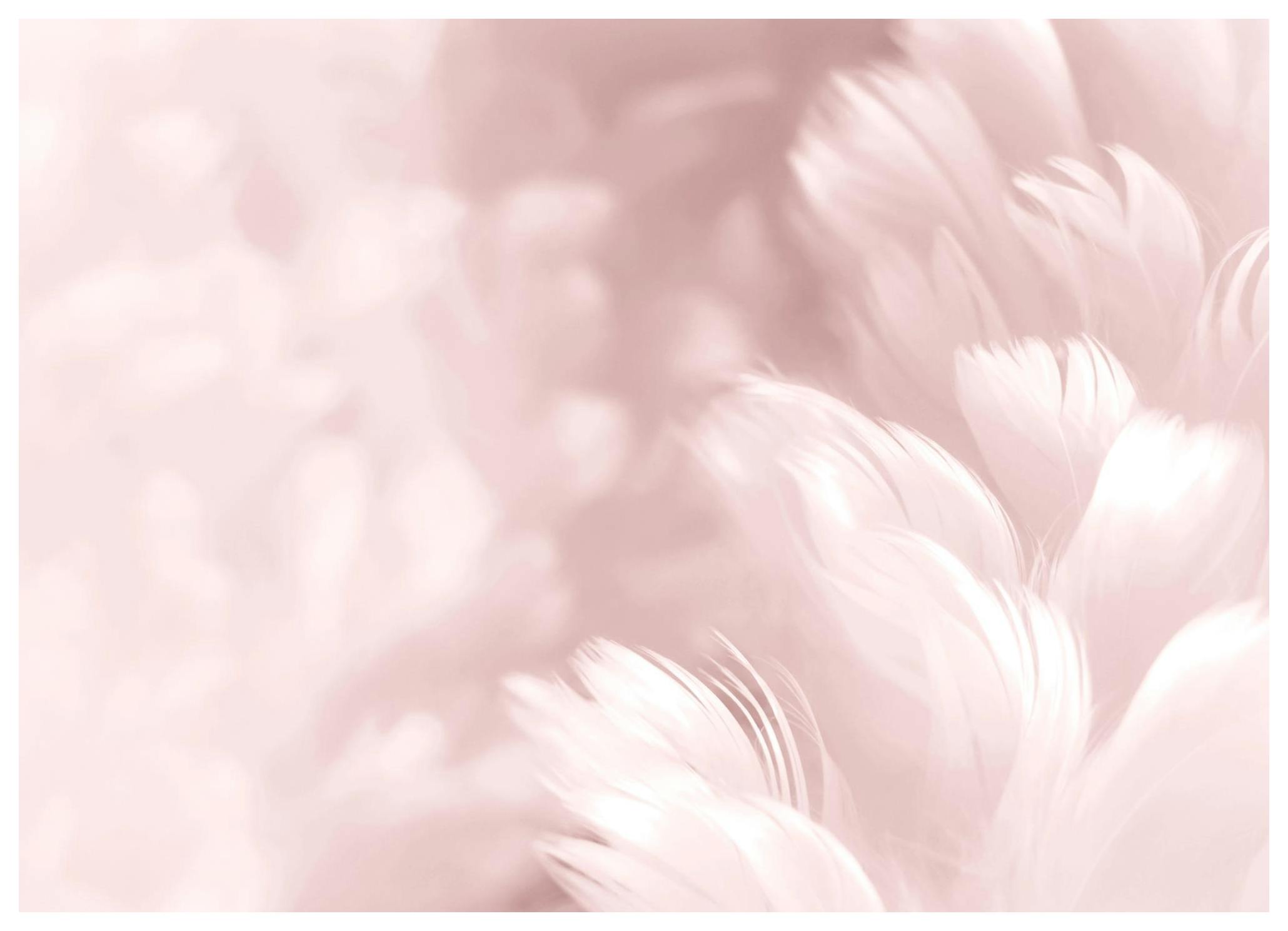 Fluffy Pink Feathers, Posters (40x50 cm) - Fotokunst