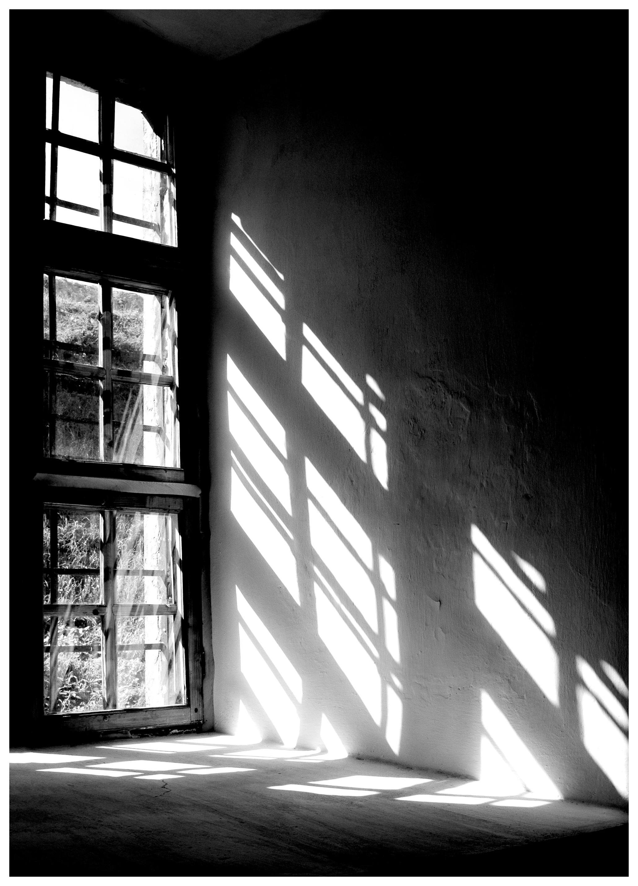 Let The Light In, Poster (70x100 cm) - Zwart wit posters