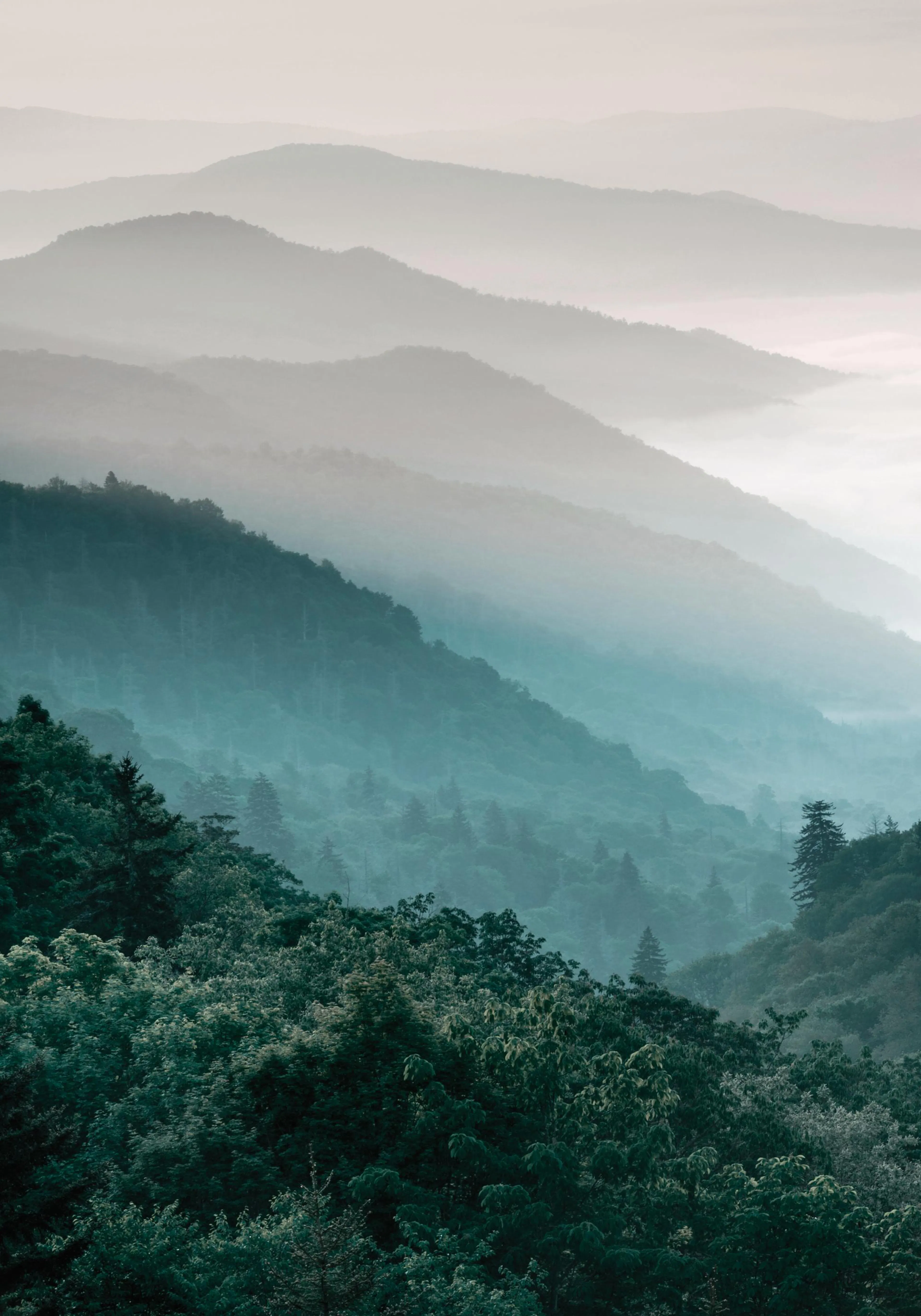Affiche de montagnes et forêts brumeuses, photographie paysage