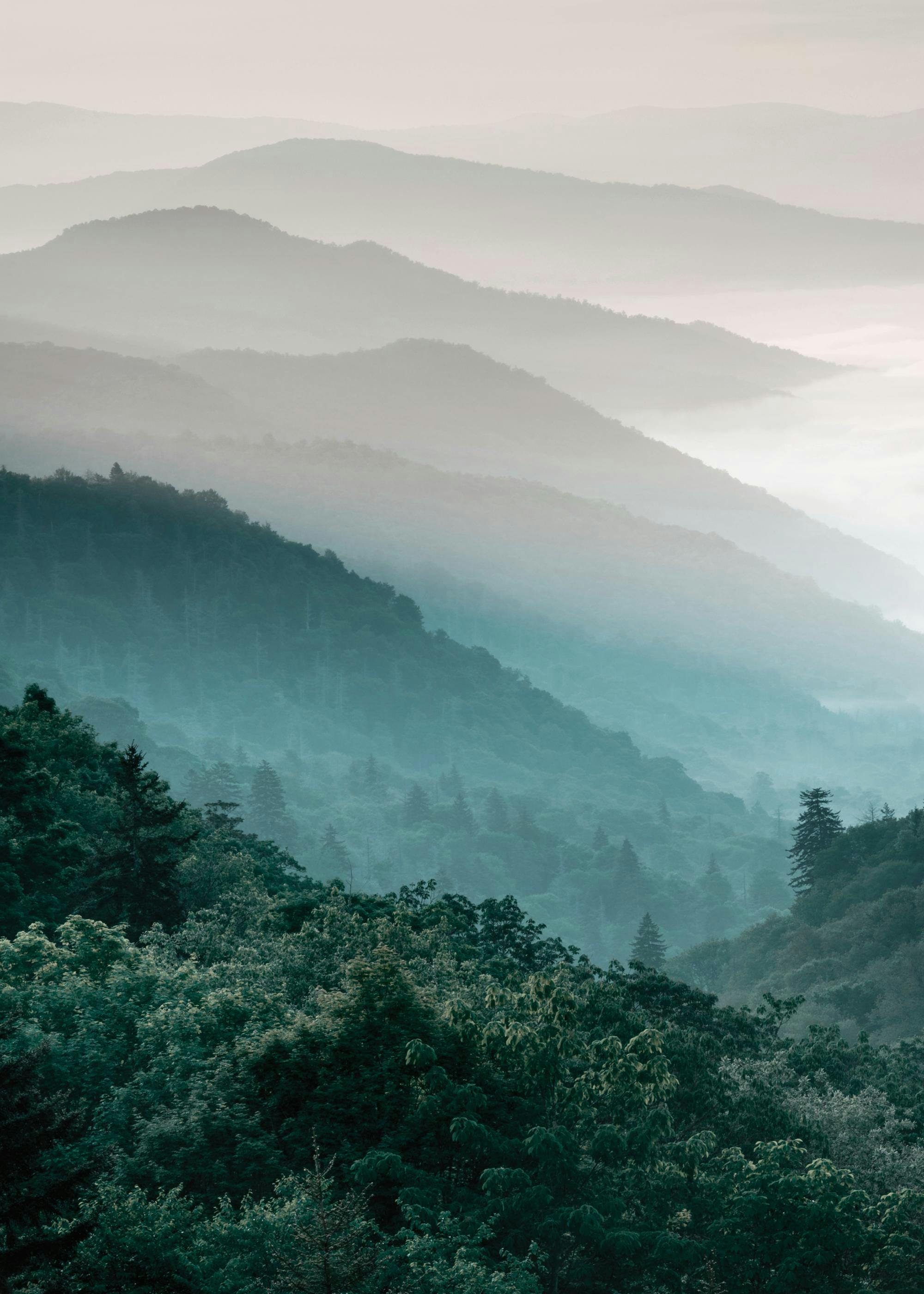 Landschapsposter van bergketens met mist en bosrijke hellingen in blauwgroene tinten.