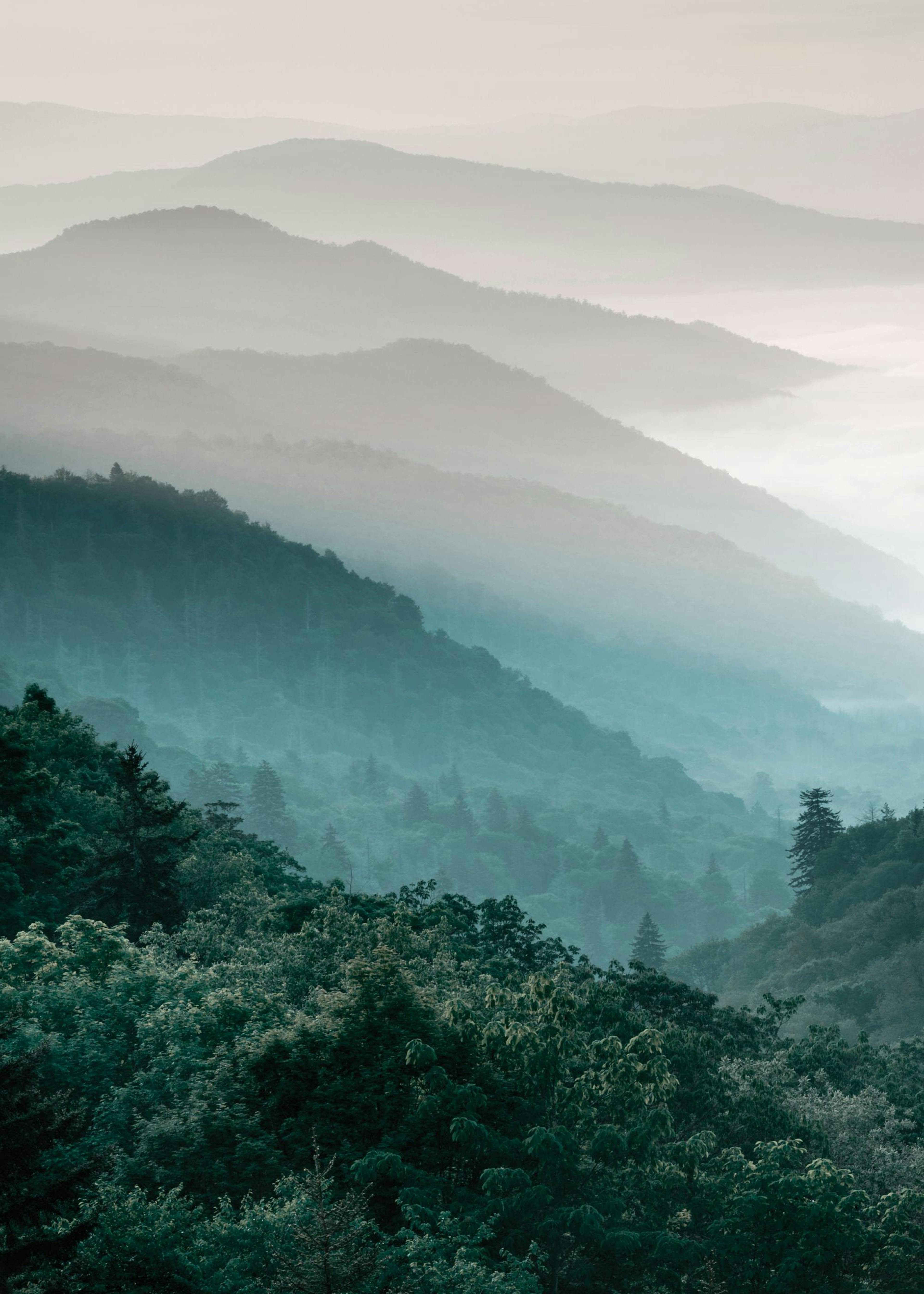 Forest Mountain, Prints 0