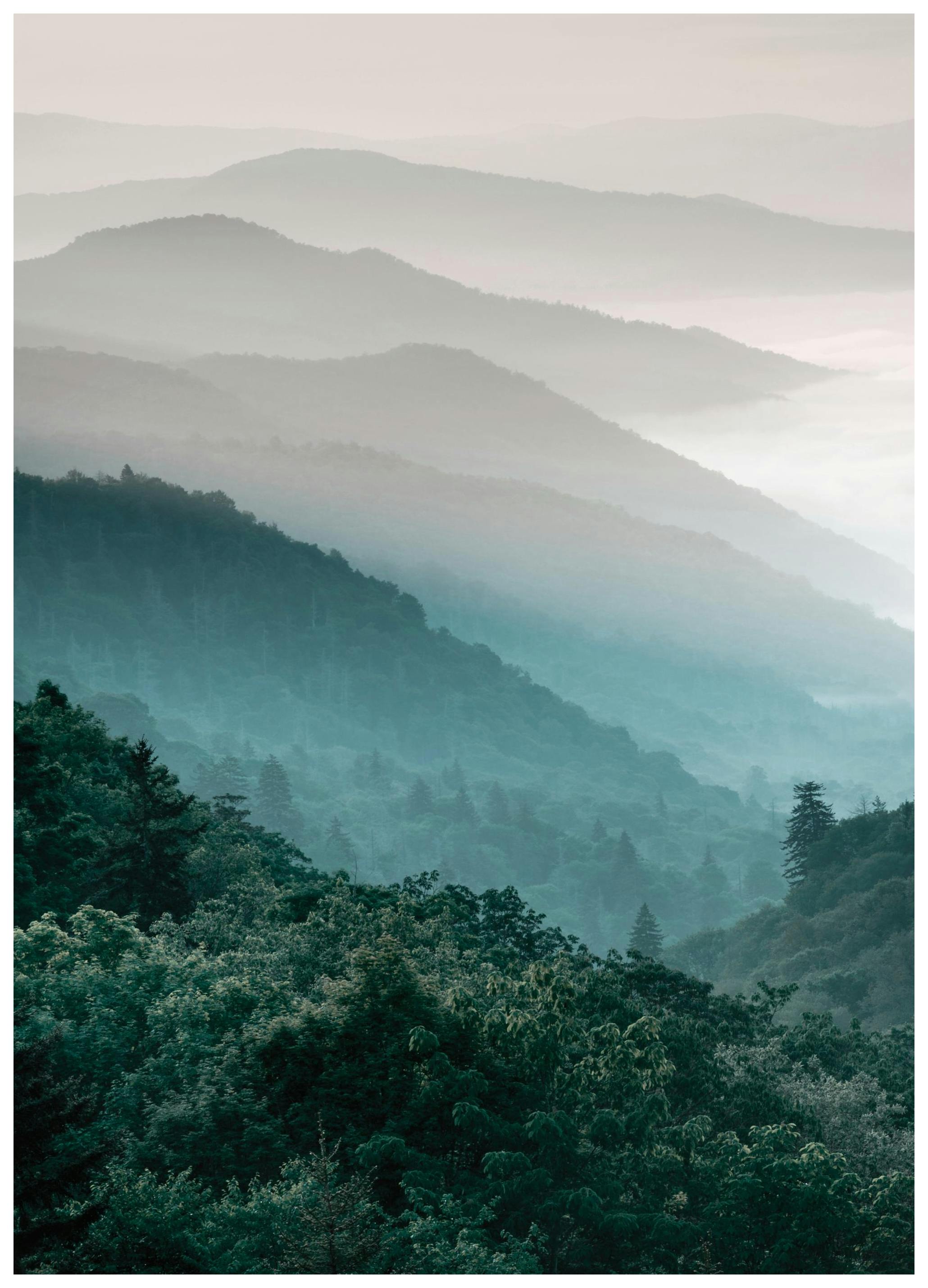 Prints - Forest Mountain, Prints (50x70 cm) - Nature prints