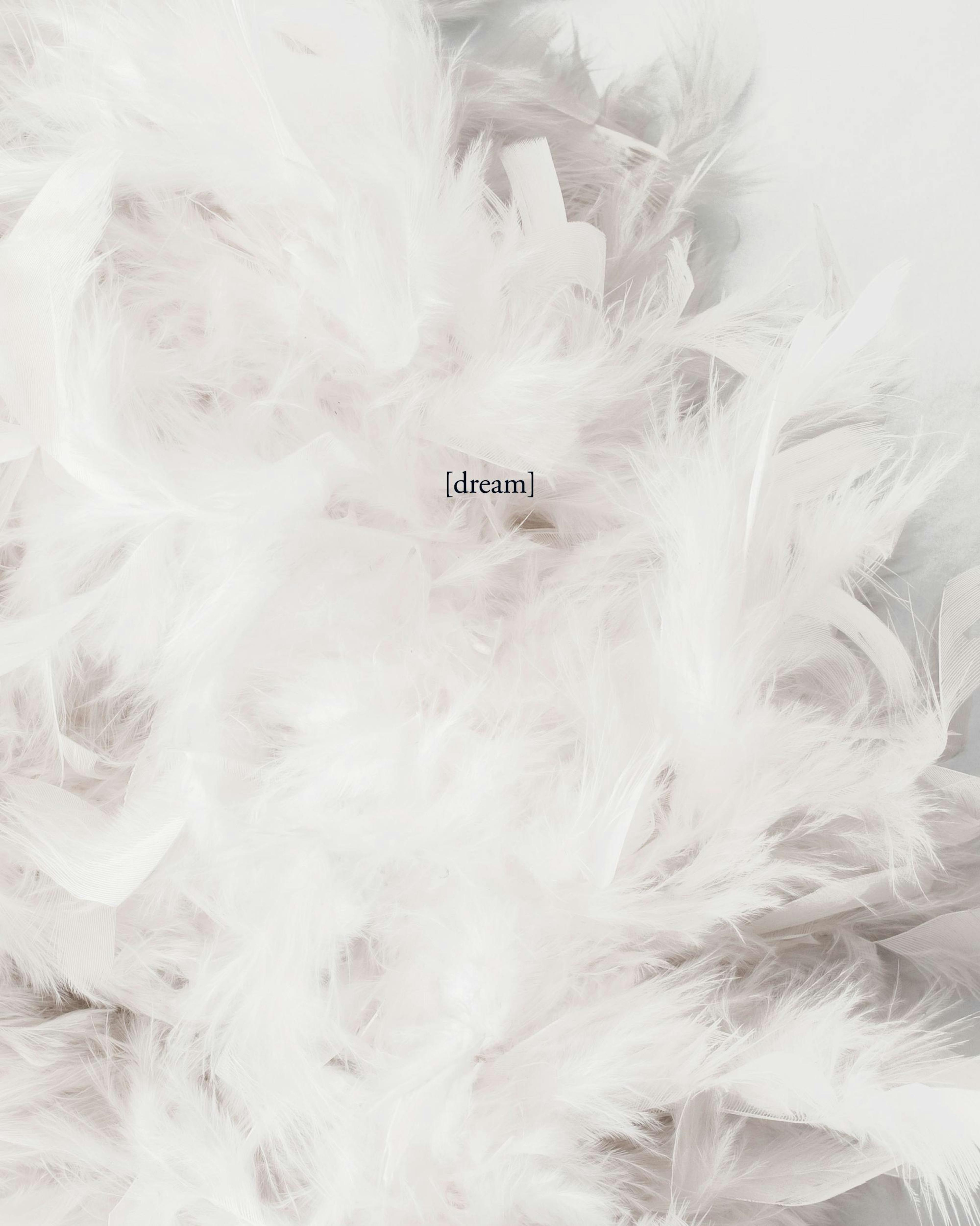 A print of soft white and gray feathers, with the word droom centered, hanging on a black grid above a plant in a basket.