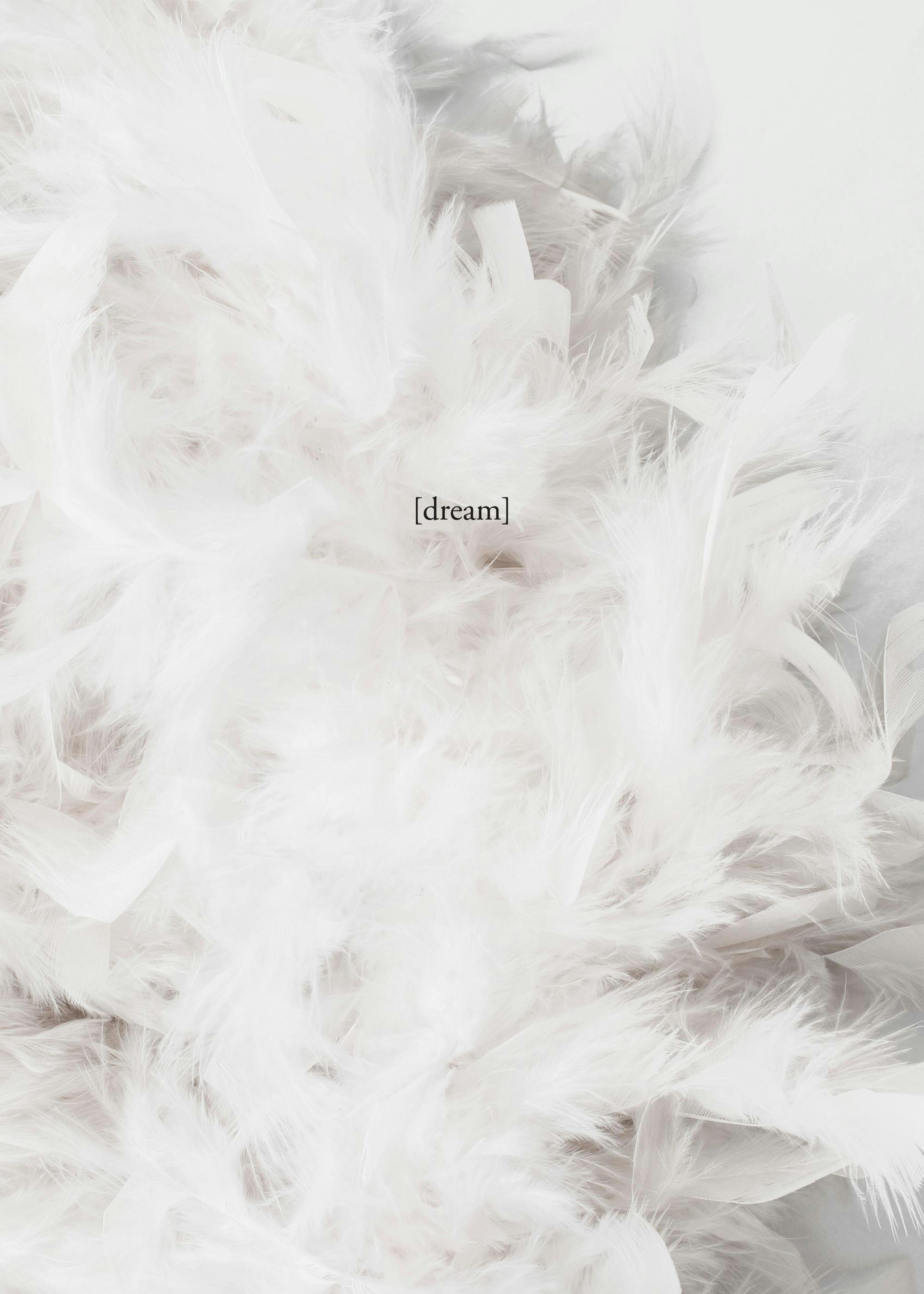 The Dream, Prints 0
