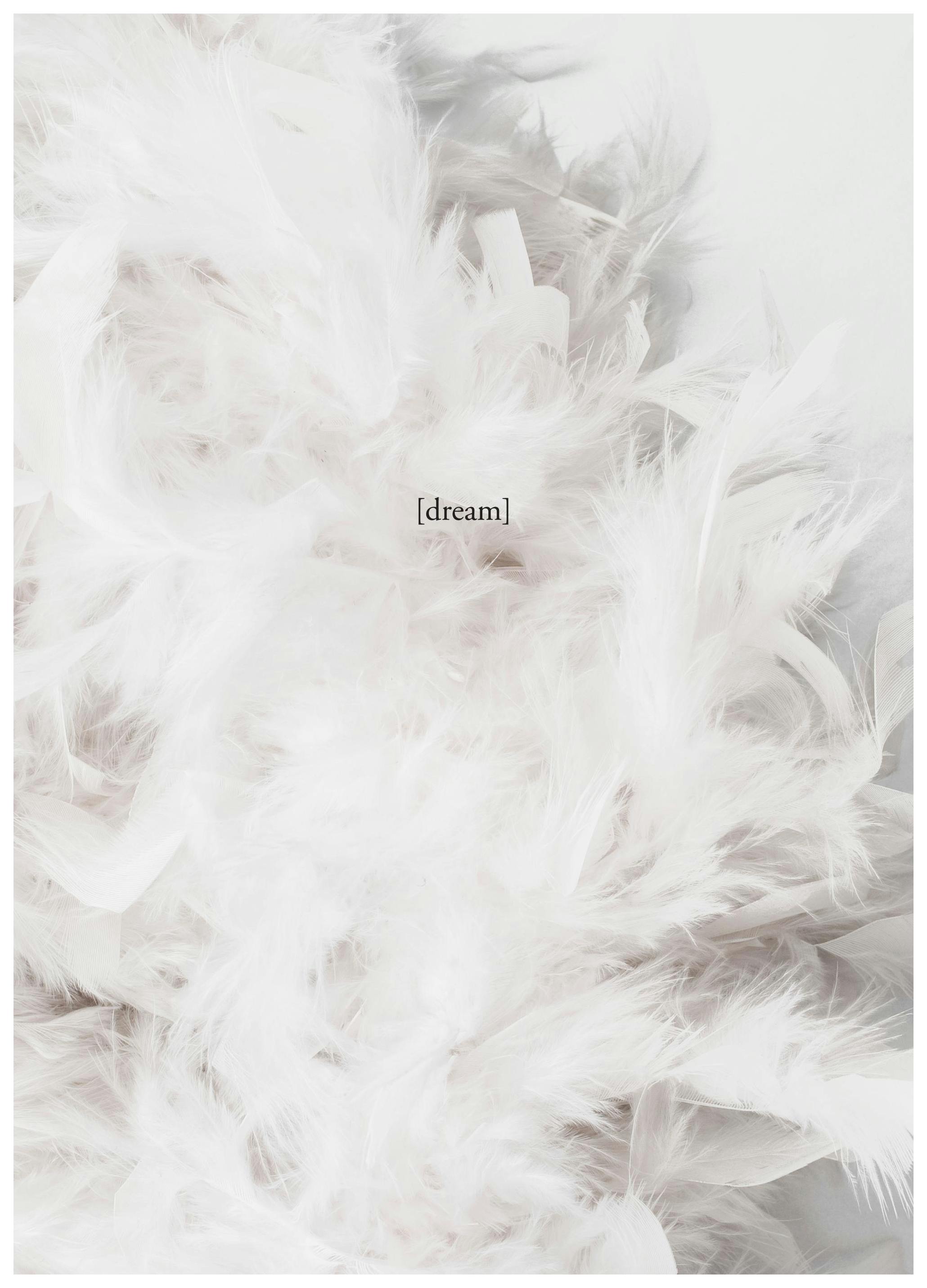The Dream Poster (40x50 cm)- Arte fotográfica