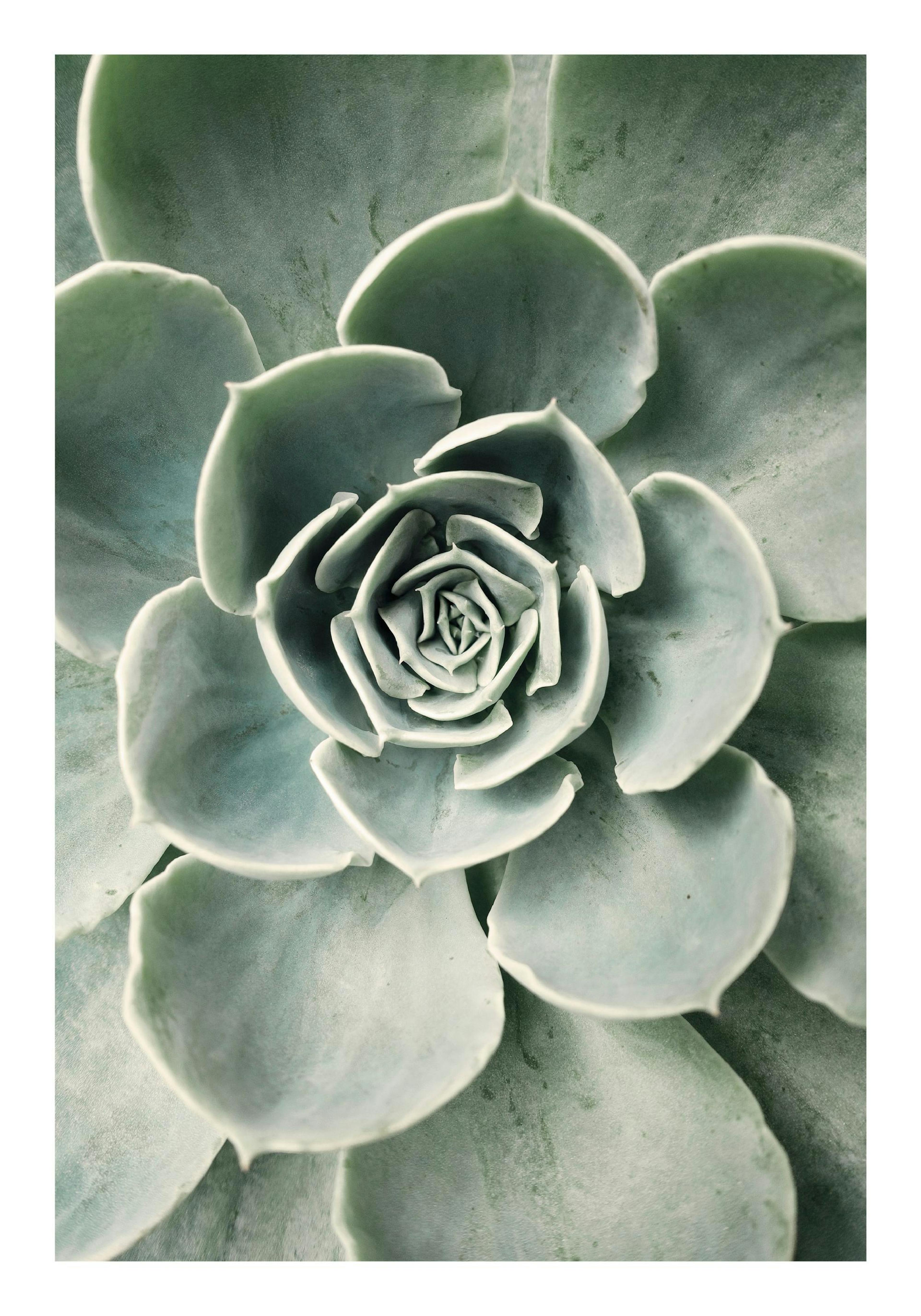 Product image: 1