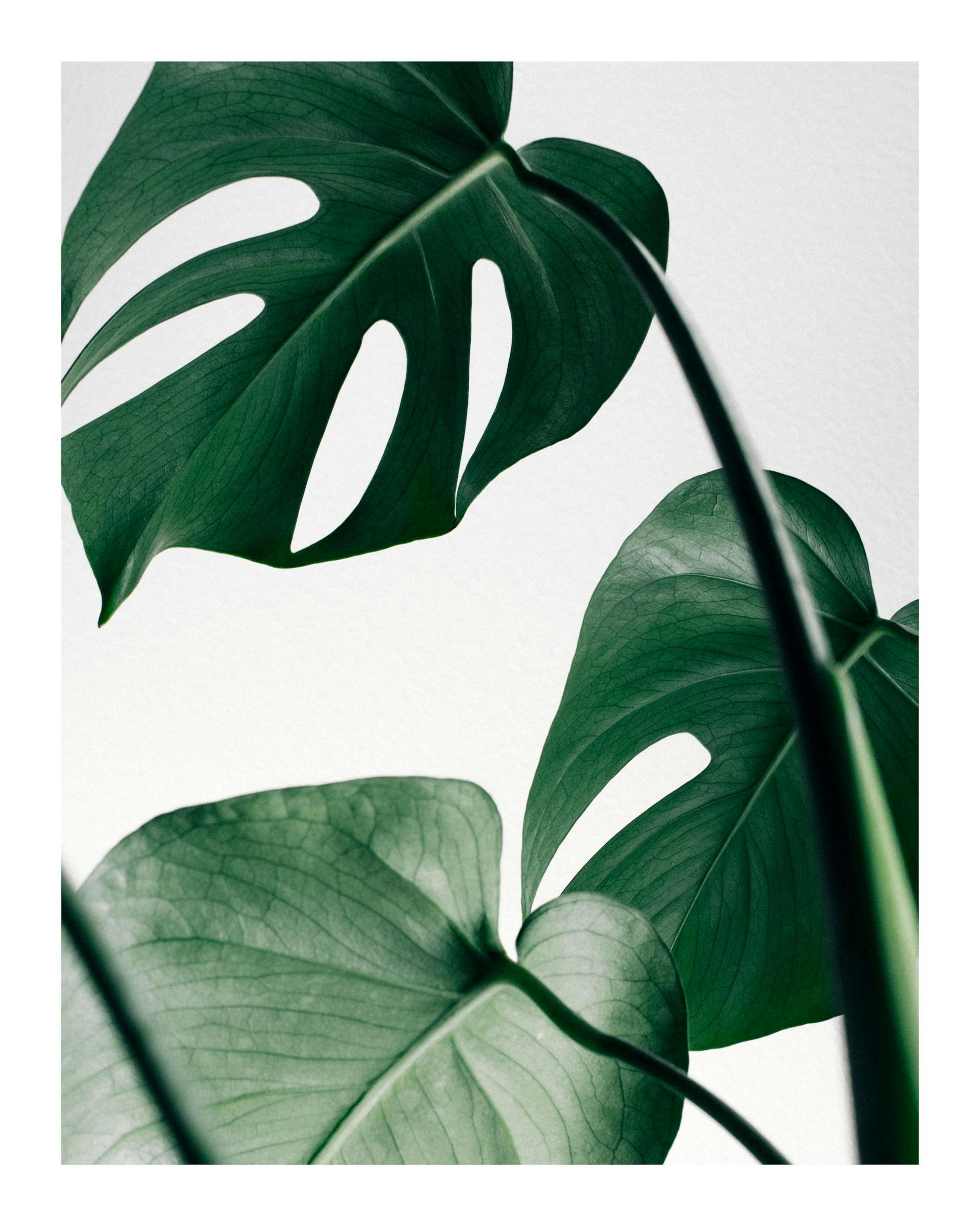 Product image: 1