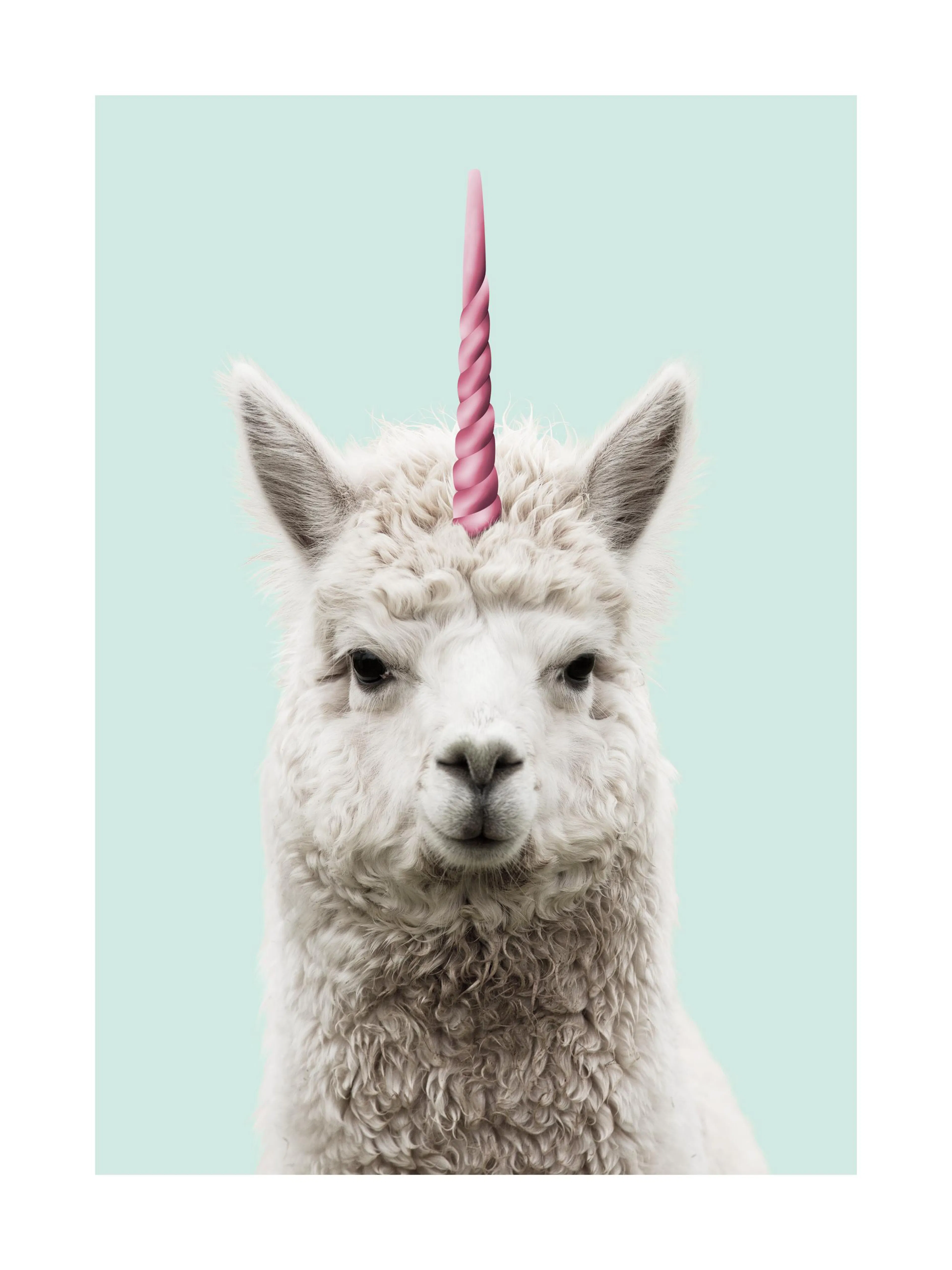Póster de llama blanca con cuerno de unicornio rosa, fondo celeste. Arte animal divertido.