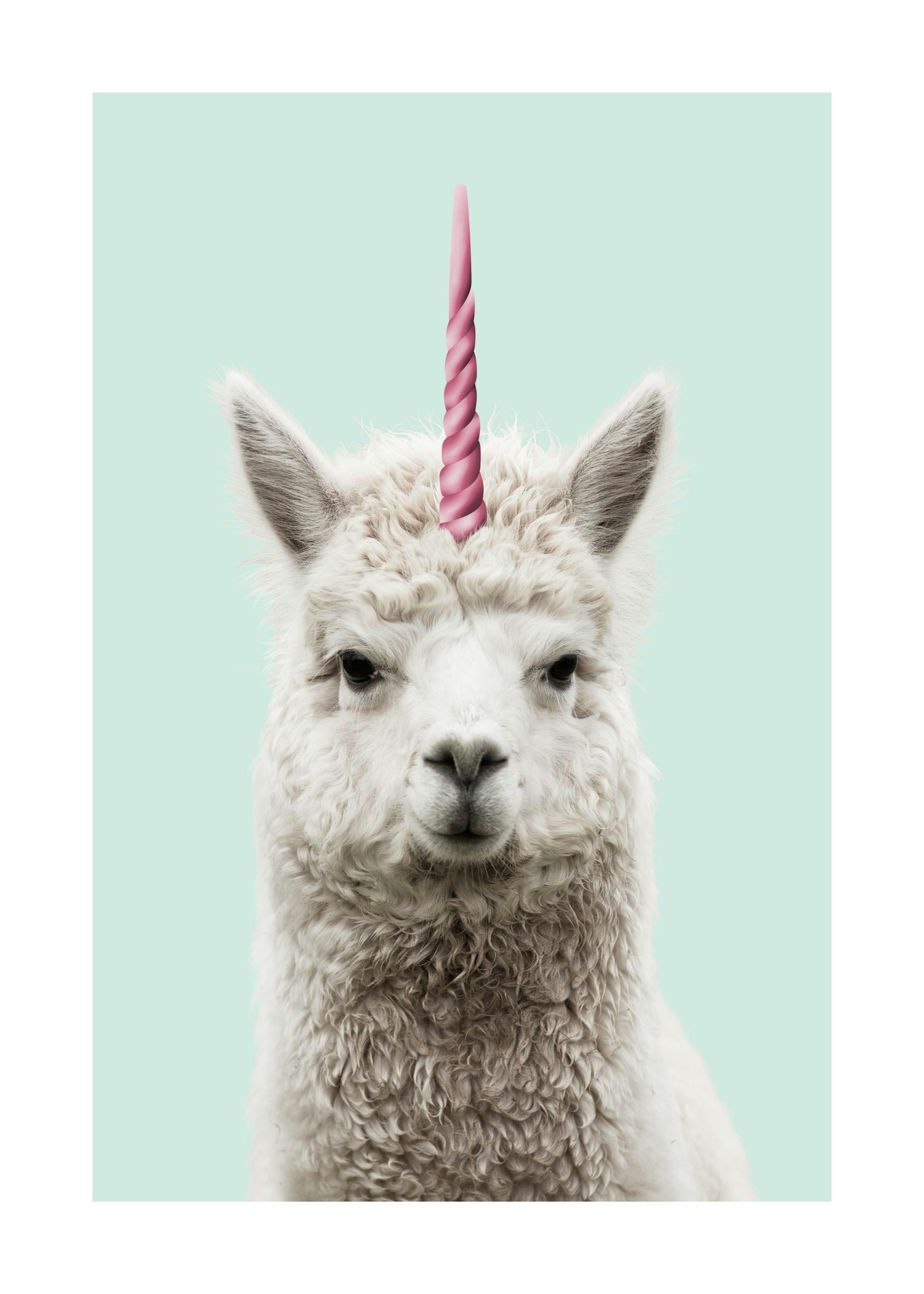 Lamacorn Poster 0