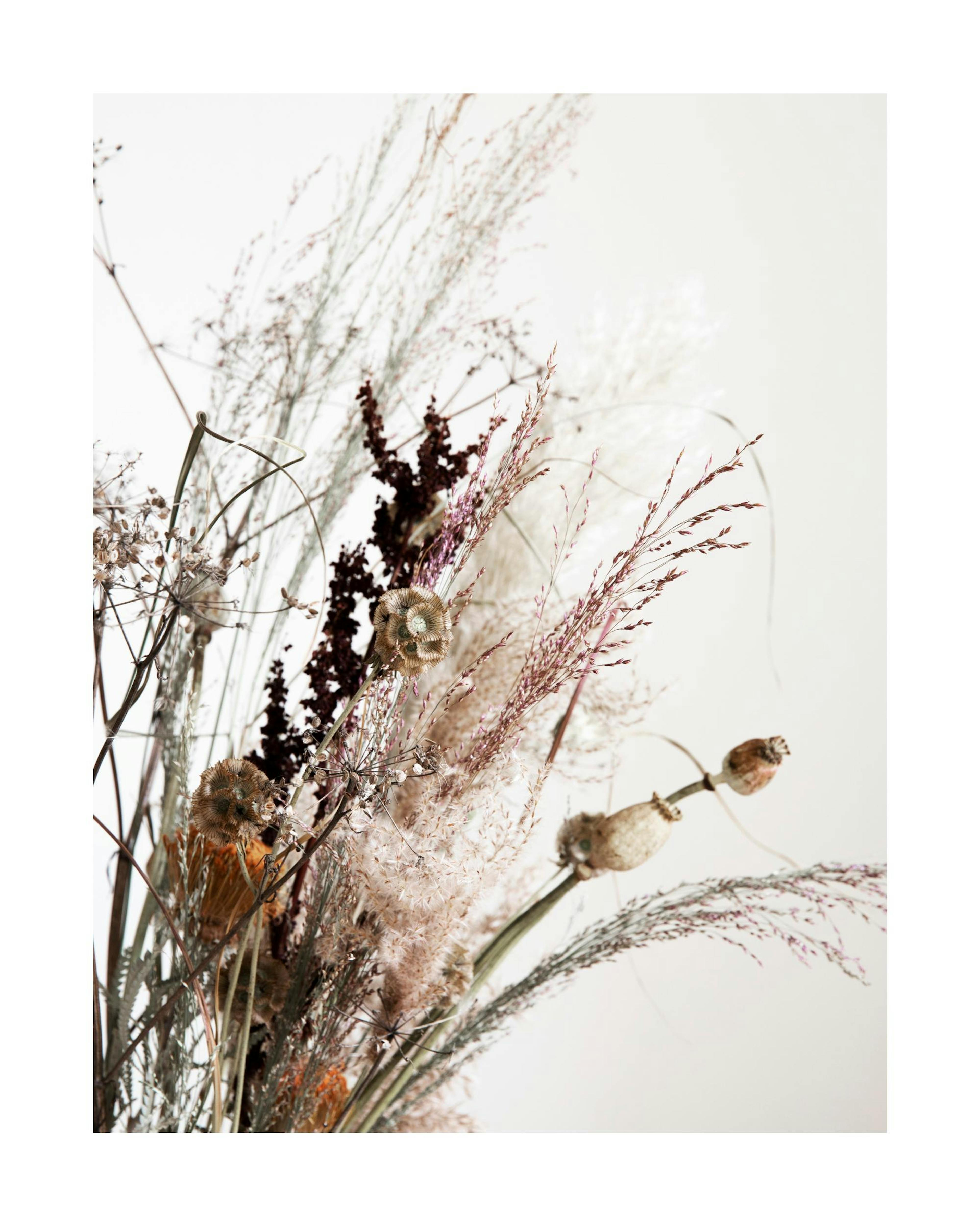 흰색, 빨간색, 녹색 드라이플라워가 담긴 예술 사진 포스터. 부드러운 파스텔 톤의 꽃들이 자연의 감성을 표현합니다.