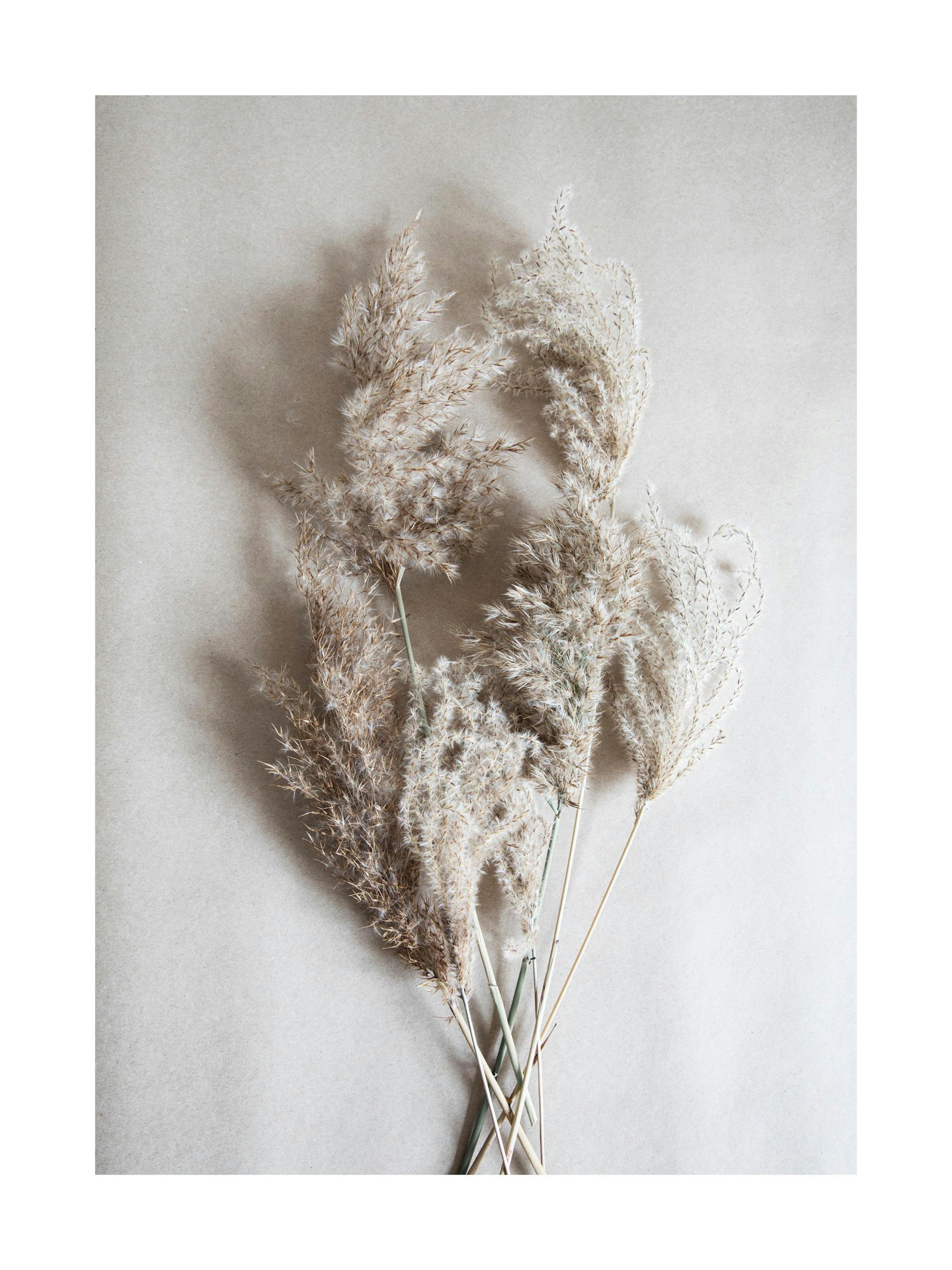 Product image: 1