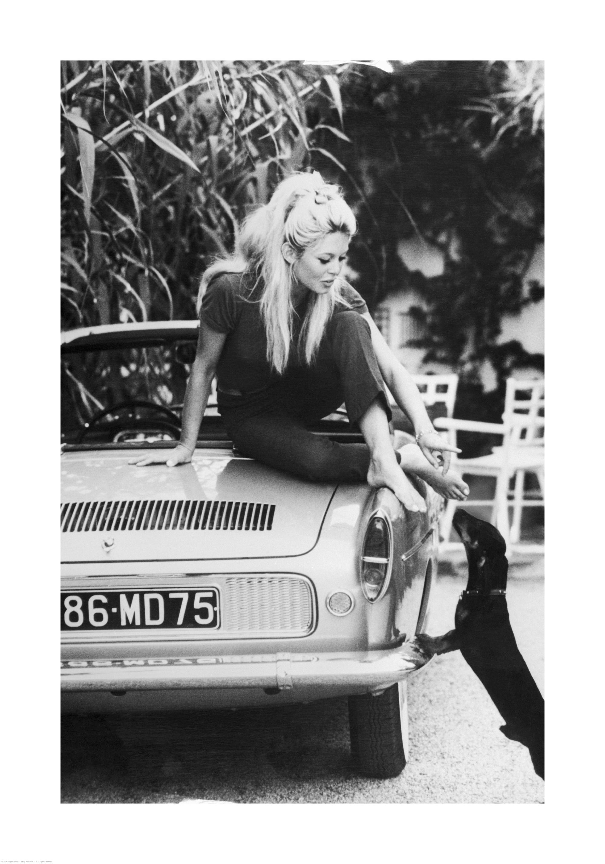 Brigitte Bardot Poster - Sitting on a car - desenio.com
