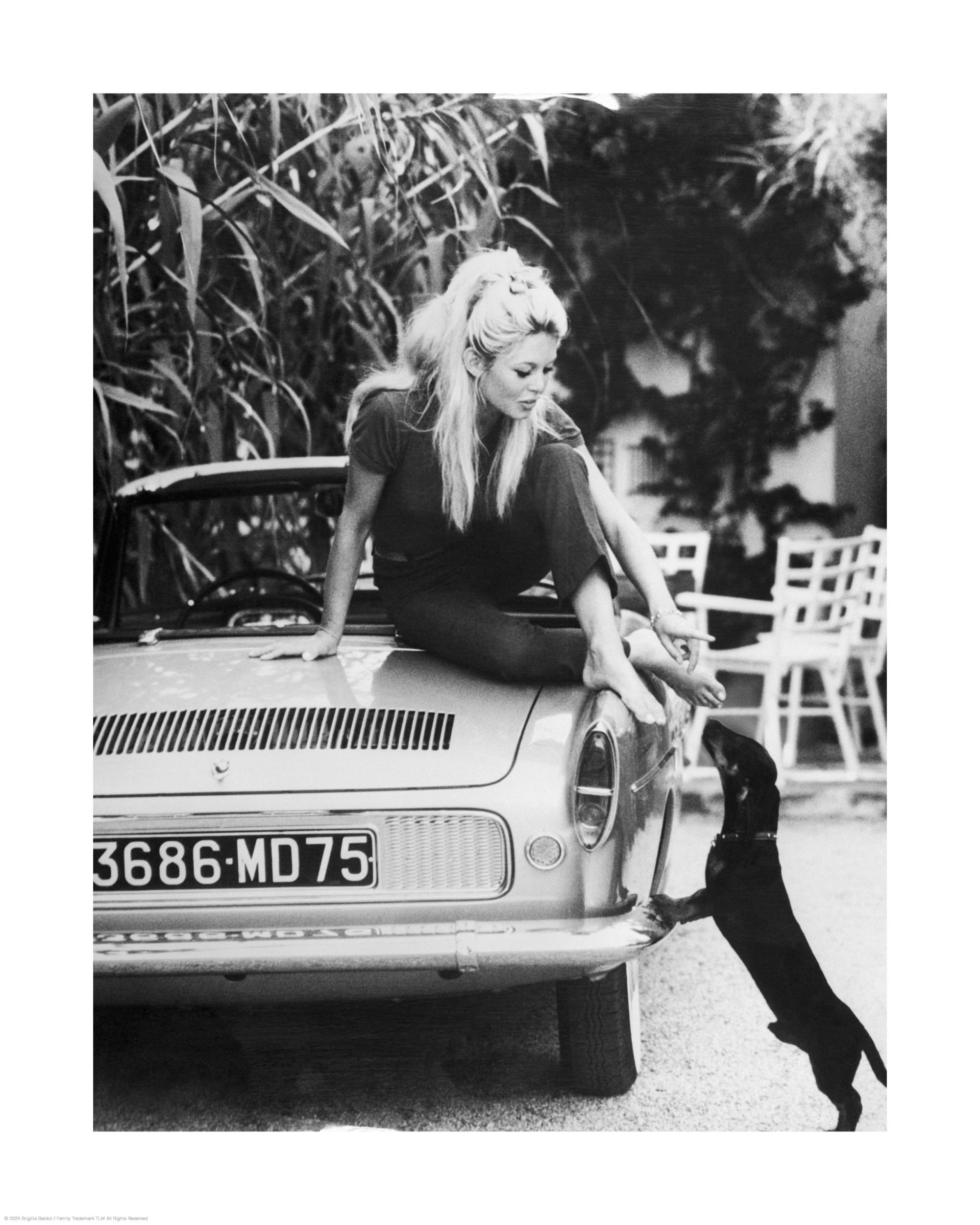 Brigitte Bardot Poster - Sitting on a car - desenio.com