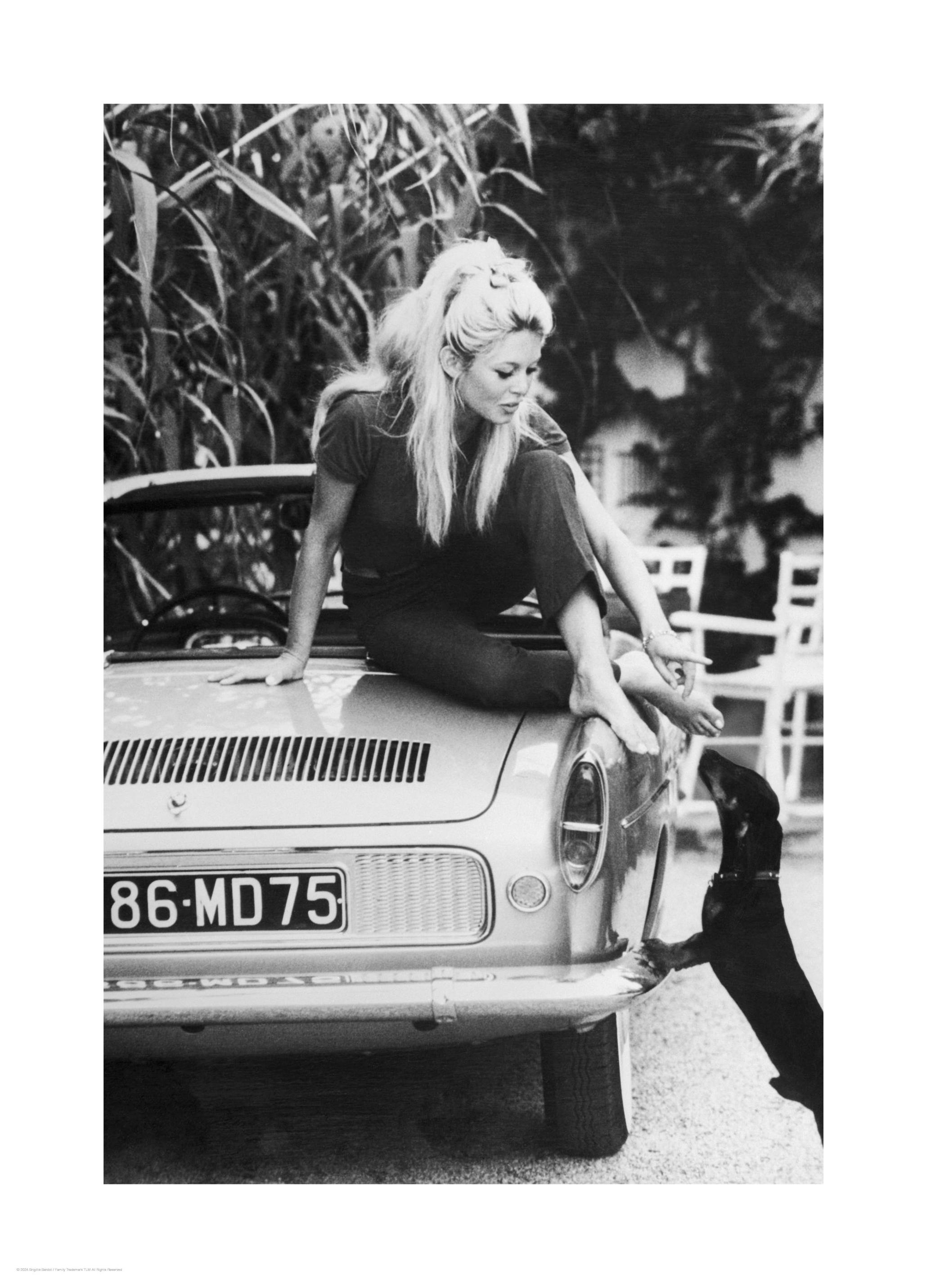 Brigitte Bardot Print (40x50 cm)