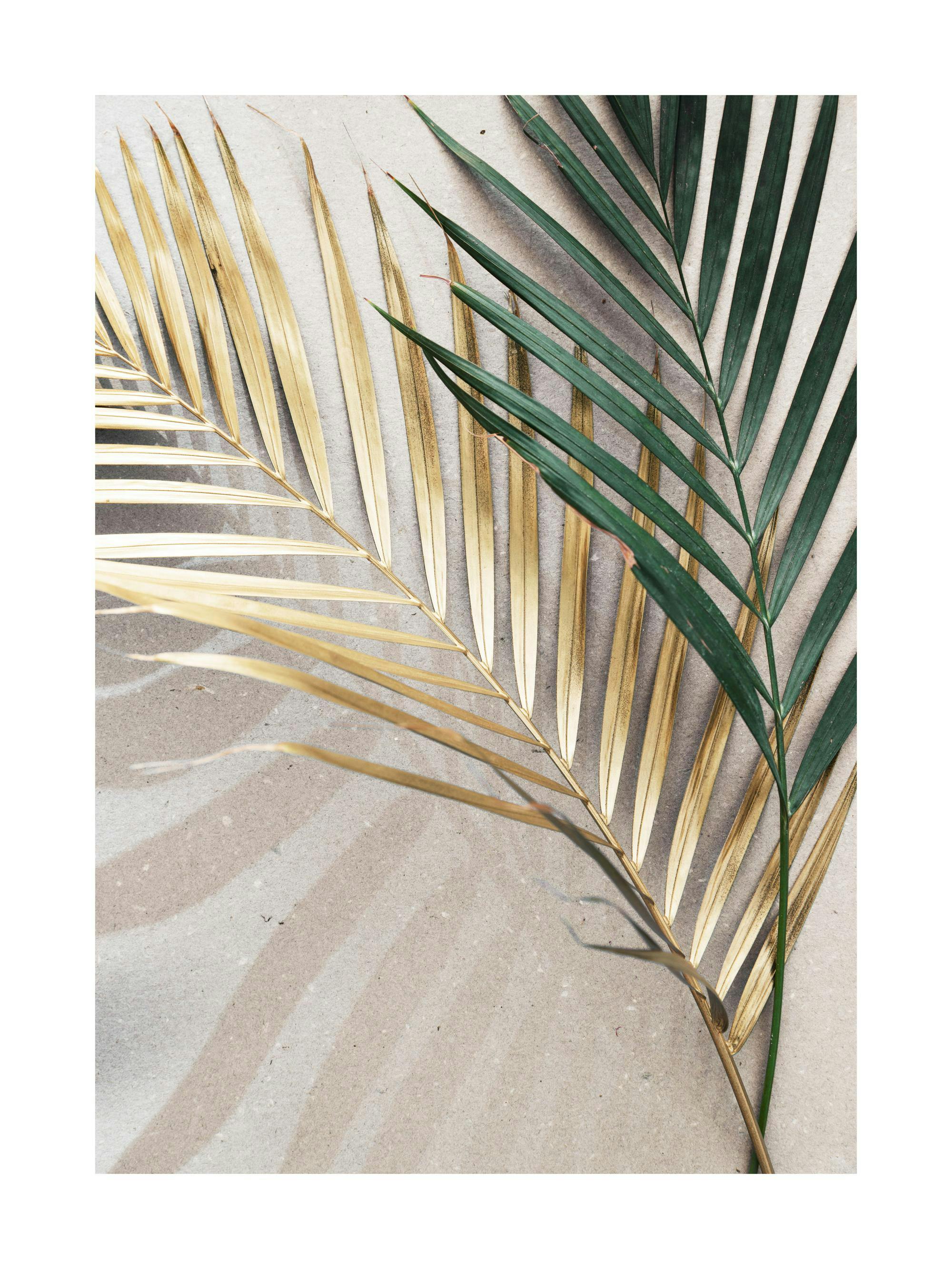 Fotografi av ett gyllene och ett grönt palmblad på en beige stenbakgrund, med botaniska skuggor.