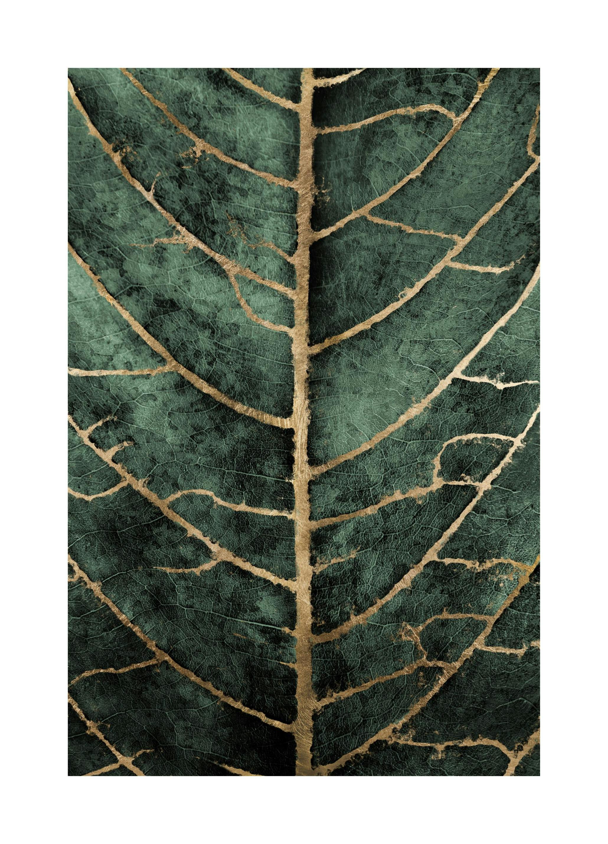 Prints - Golden Green Leaf Print (21x30 cm) - Art prints