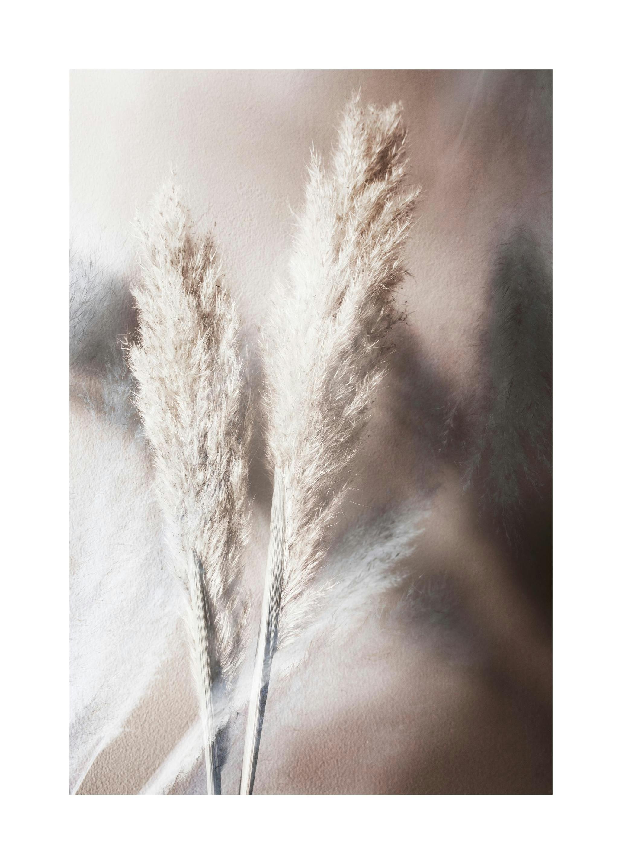 Abstract Reeds No1 Poster (30x40 cm)- Arte fotográfica