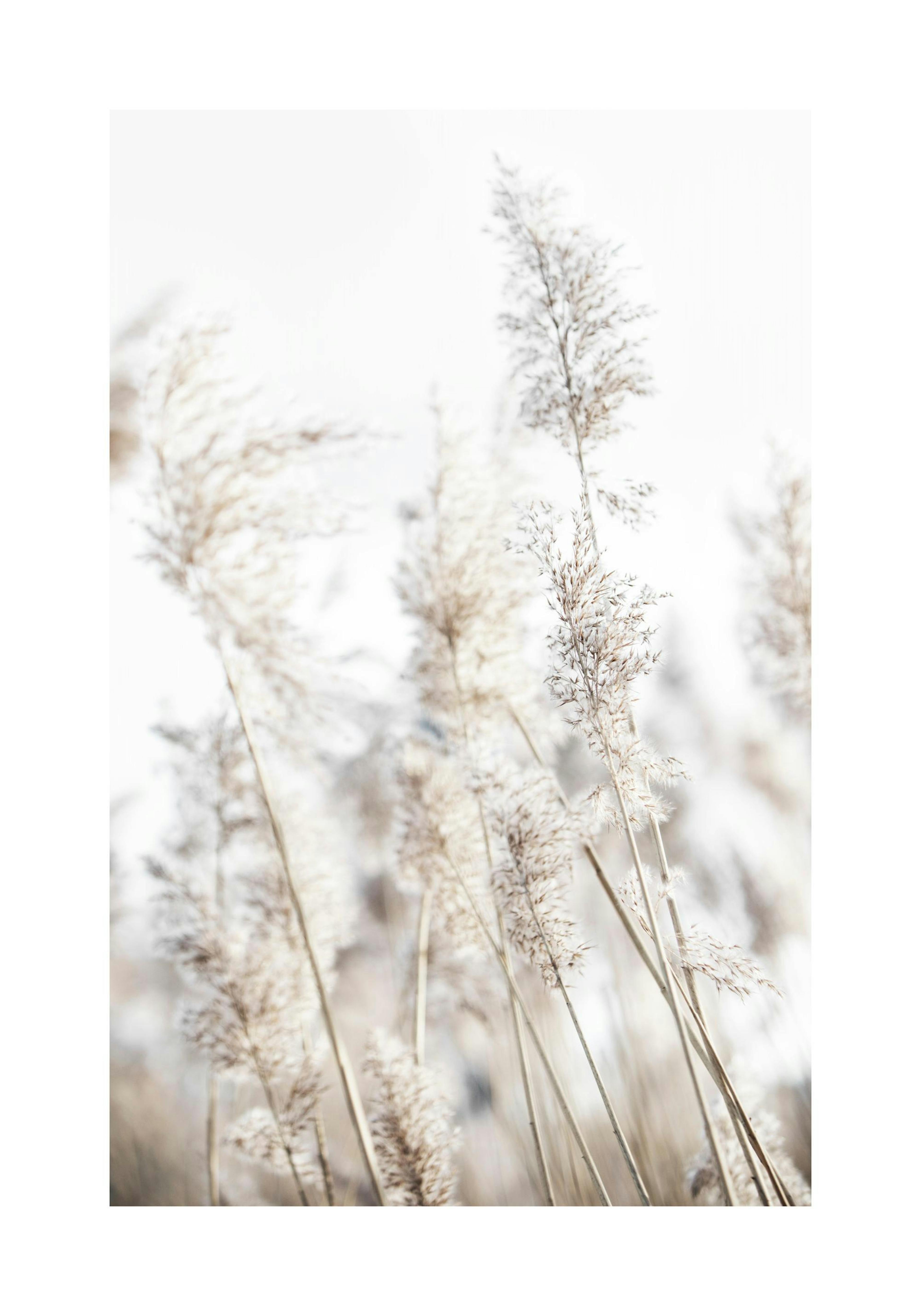 Product image: 1