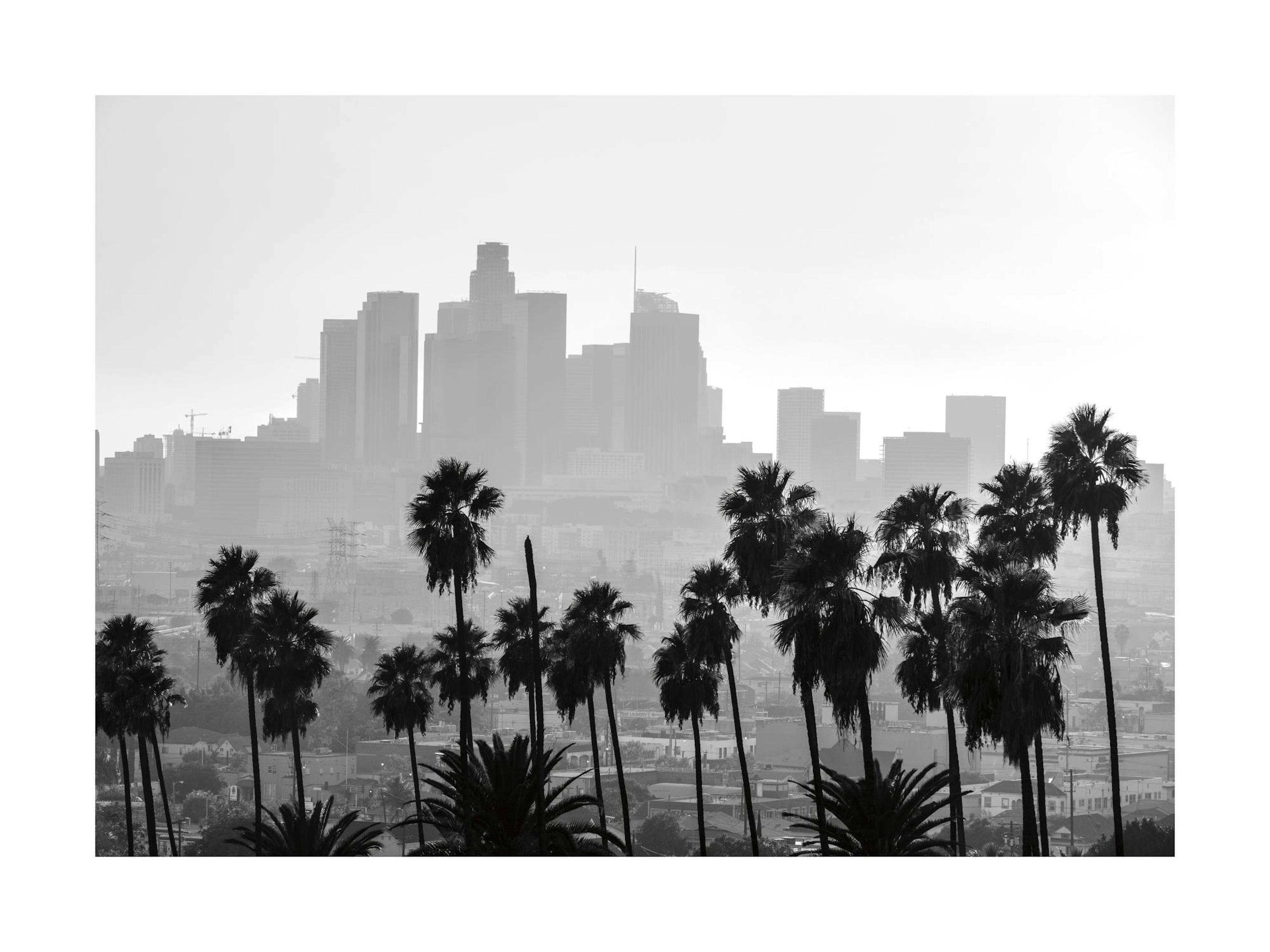 Póster de Los Ángeles en blanco y negro, con palmeras oscuras en primer plano y el horizonte difuminado de la ciudad de fondo.