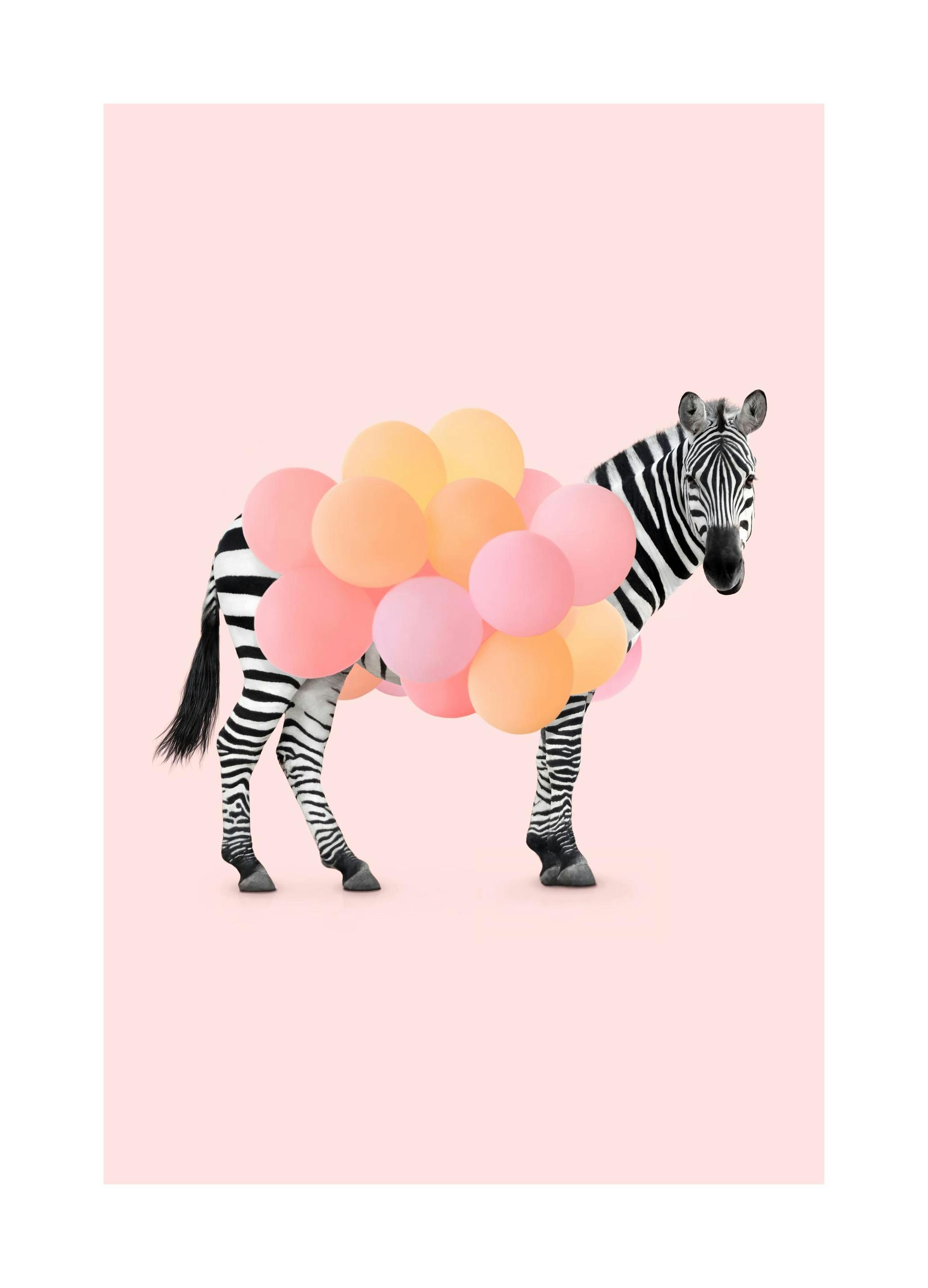 Zebra Balloon Poster (30x40 cm) - Kinderposters