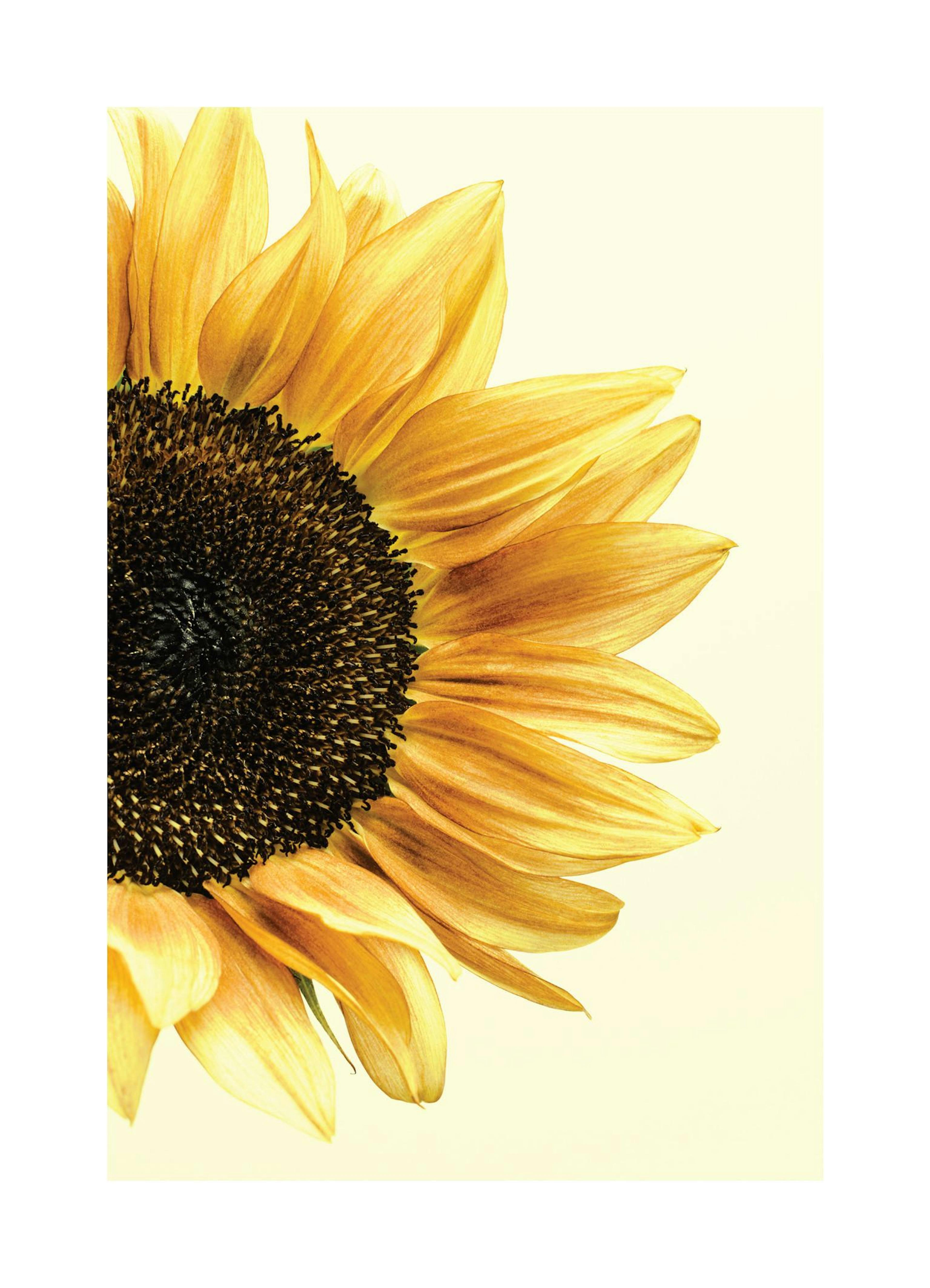Product image: 1
