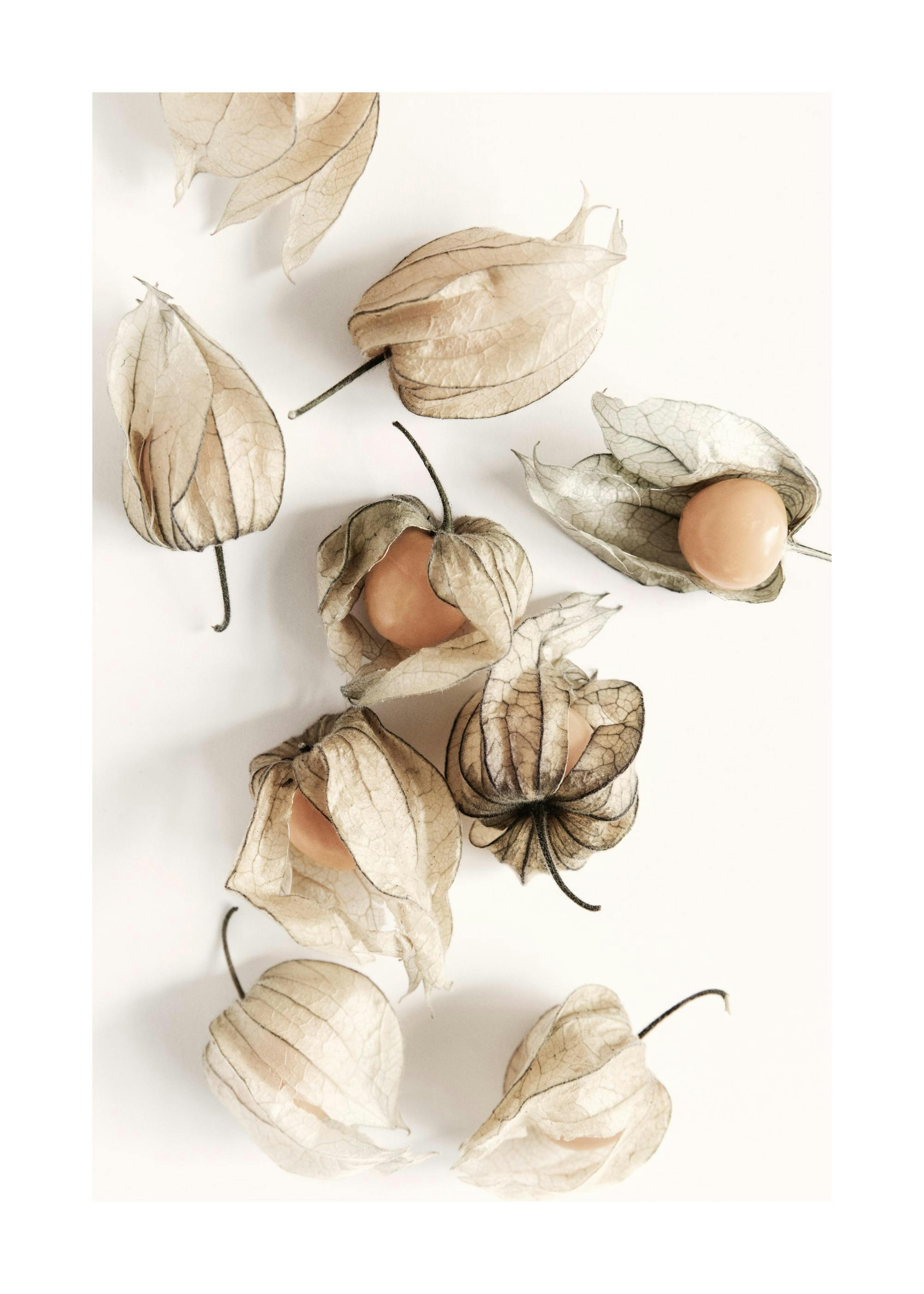 Golden Berries Plakat 0
