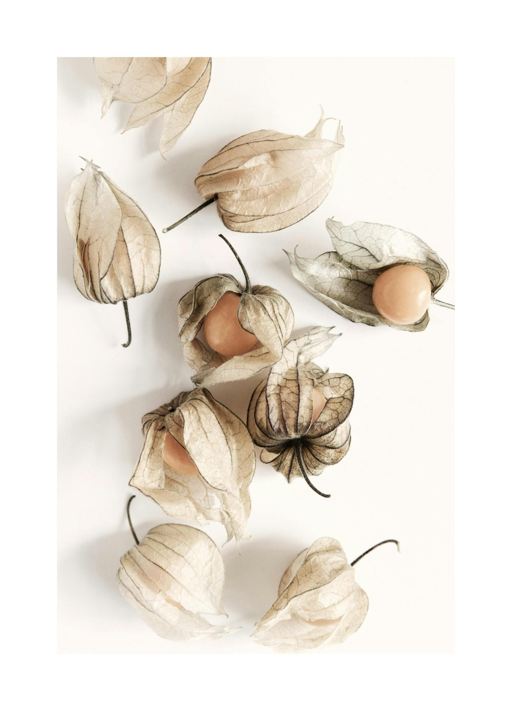 Golden Berries Plakat (30x40 cm) - Plakater > Kjøkkenplakater