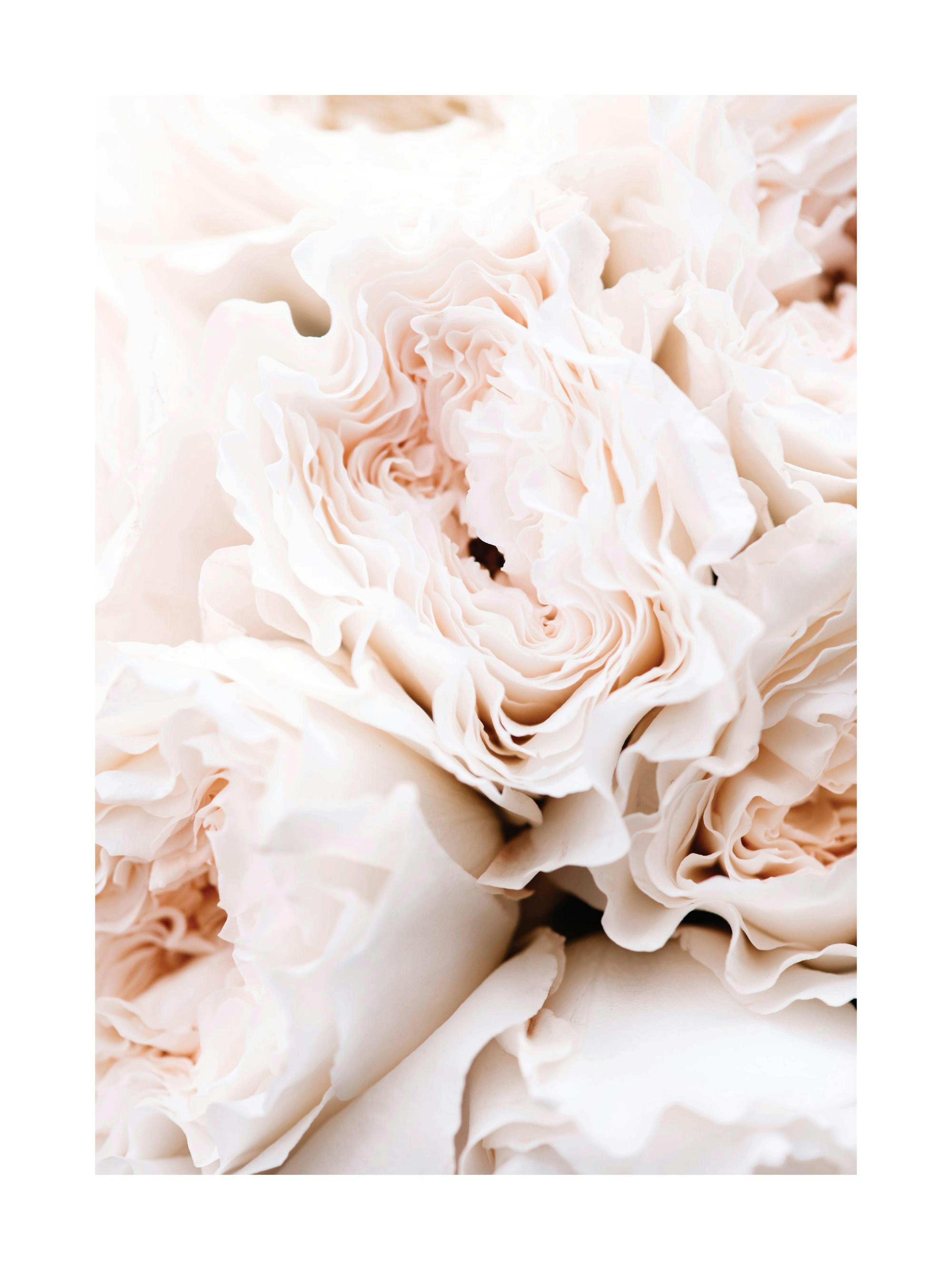 Product image: 1