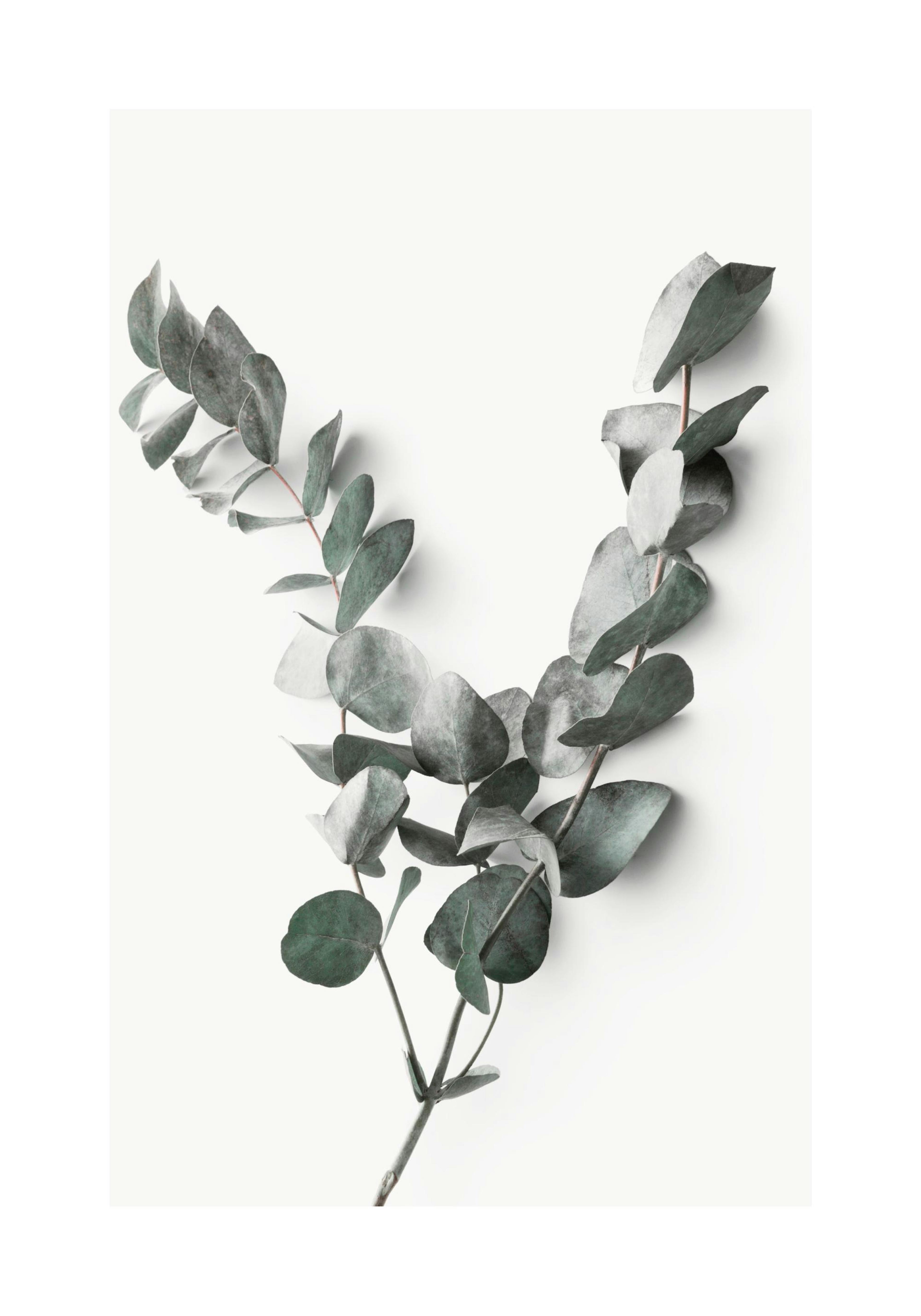 Product image: 1