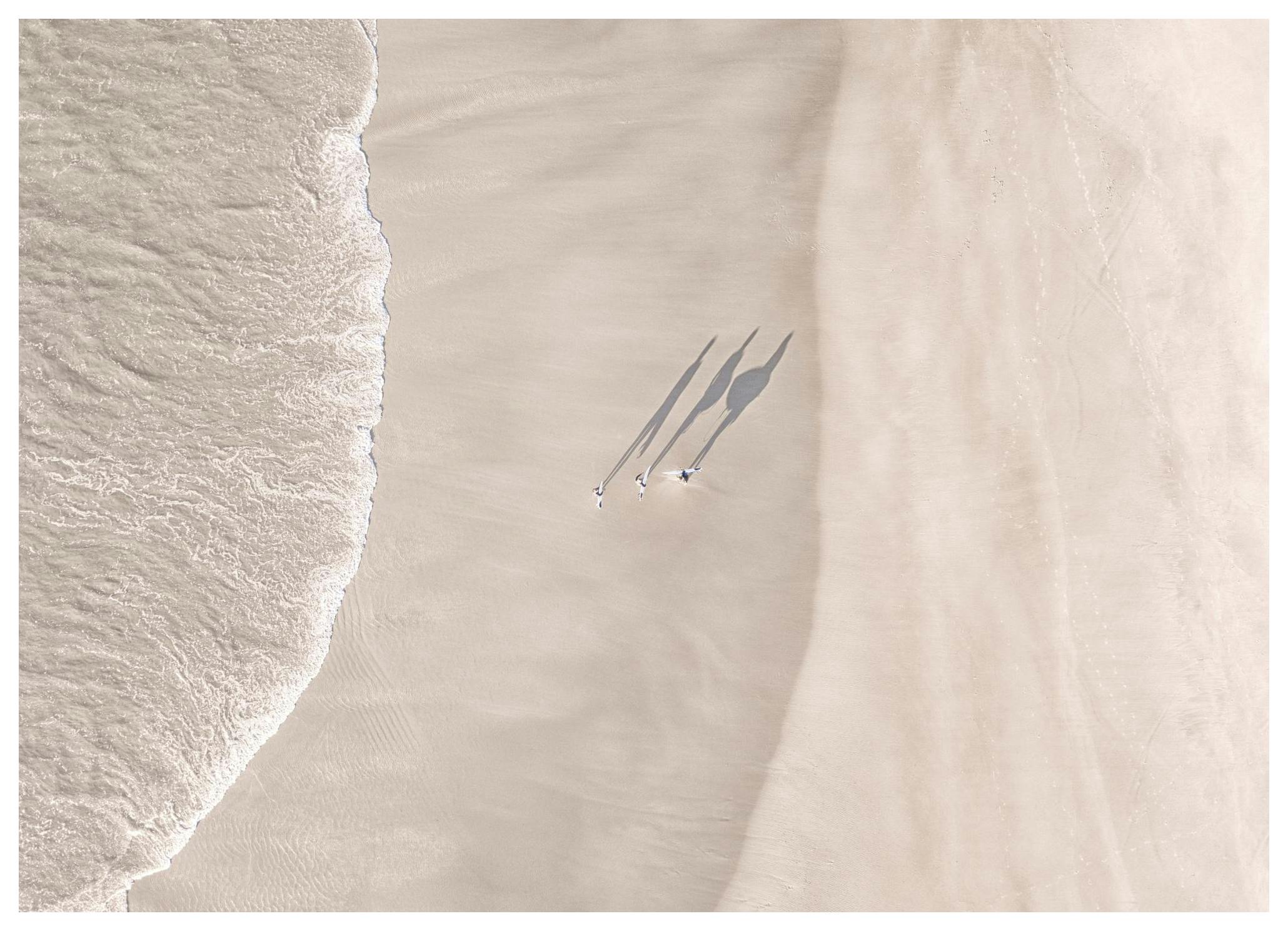 Surfers on the Beach Plakat (50x70 cm)-Plakaty