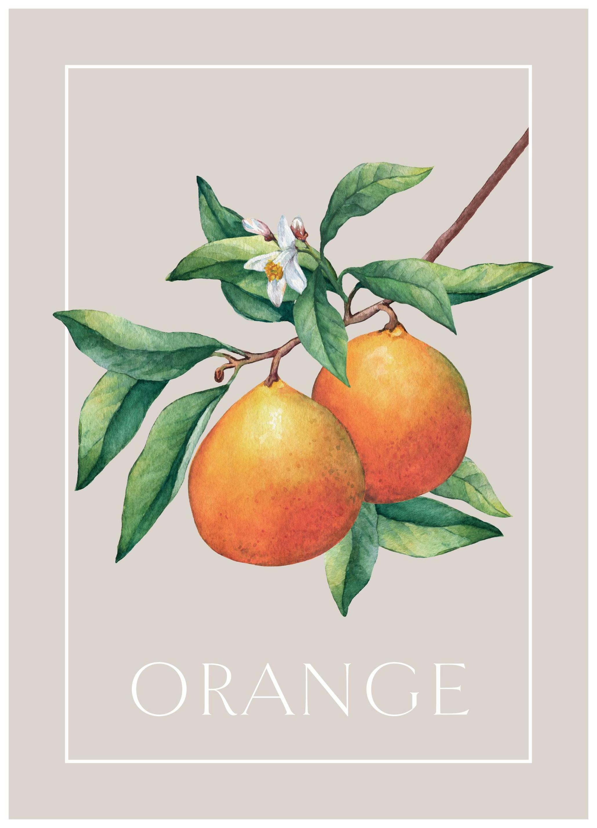 Prints - Vintage Oranges Print (21x30 cm) - Kitchen wall art
