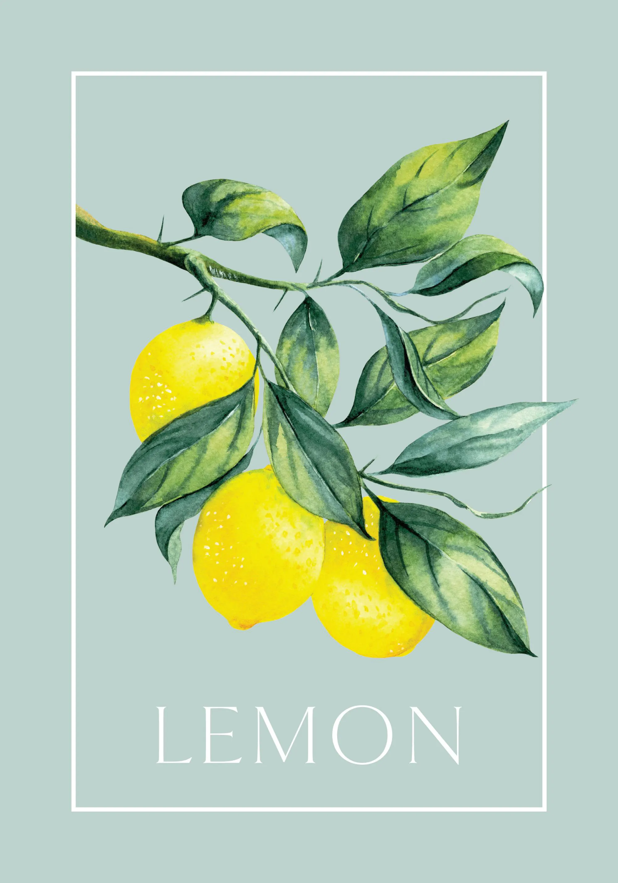 Acquista Dipinti su tela Immagini a parete per soggiorno Cucina decorativa Frutta Poster Decorazione da parete Moderna Pop Art Pittura alimentare Limone in Italia a partire da 0.83 Acquista Dipinti su tela Immagini a parete per soggiorno Cucina decorativa Frutta Poster Decorazione da parete Moderna Pop Art Pittura alimentare Limone in Italia a partire da 0.83