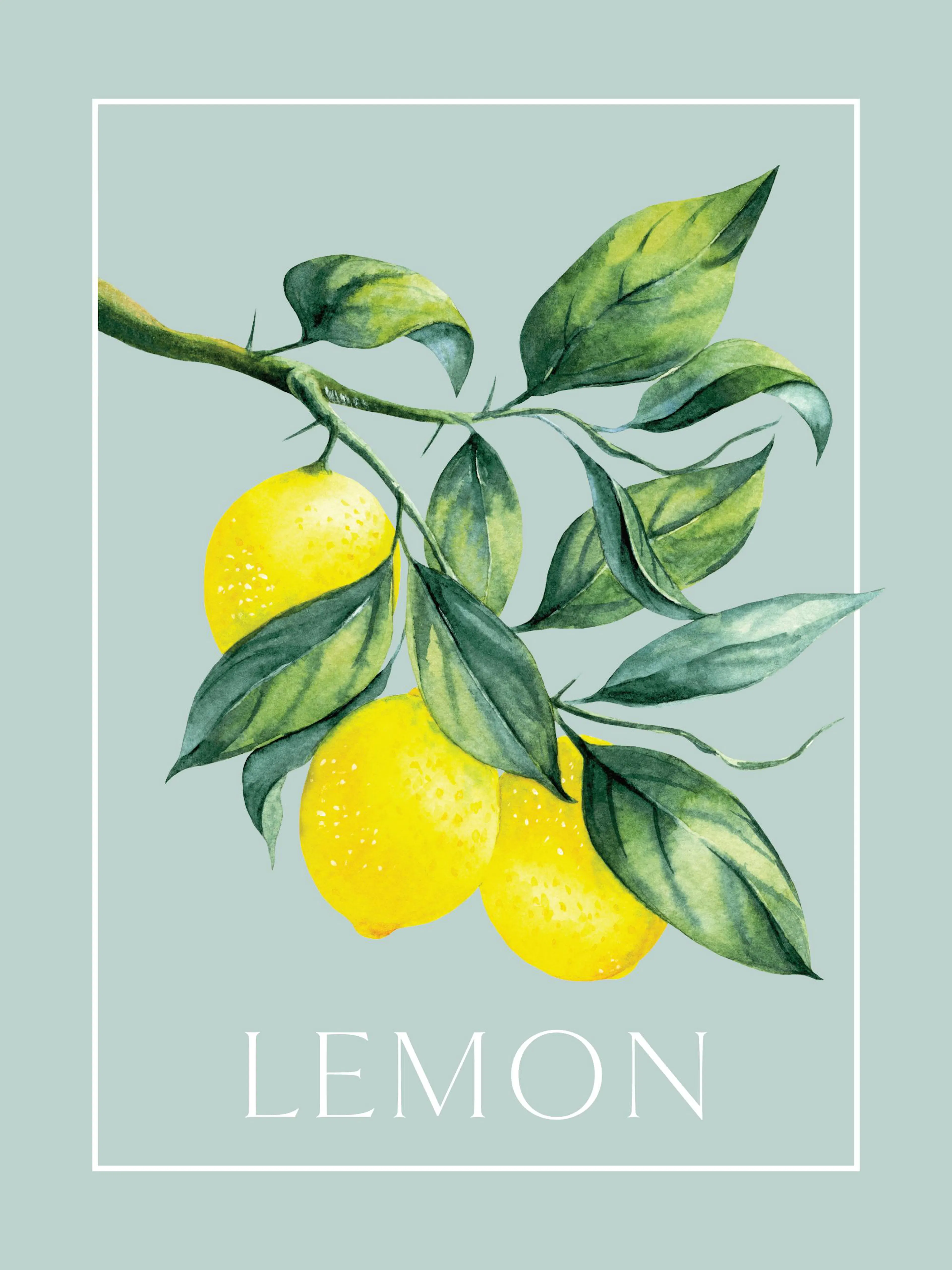 Póster vintage de limones con hojas verdes y la palabra Lemon en un marco blanco sobre fondo azul.