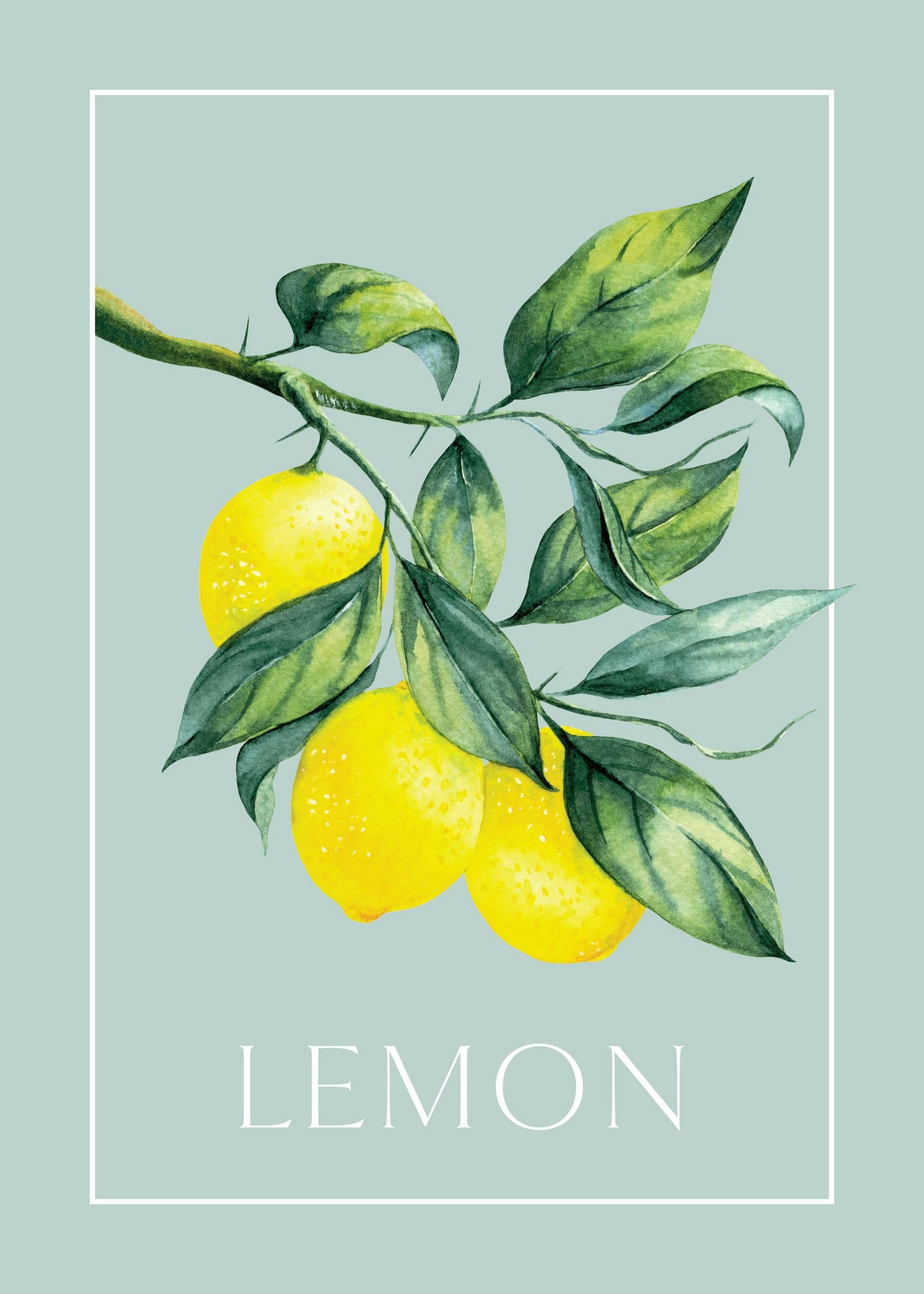 Plakat z retro akwarelą gałęzi cytrynowej z żółtymi cytrynami, zielonymi liśćmi, napisem LEMON i ramką.