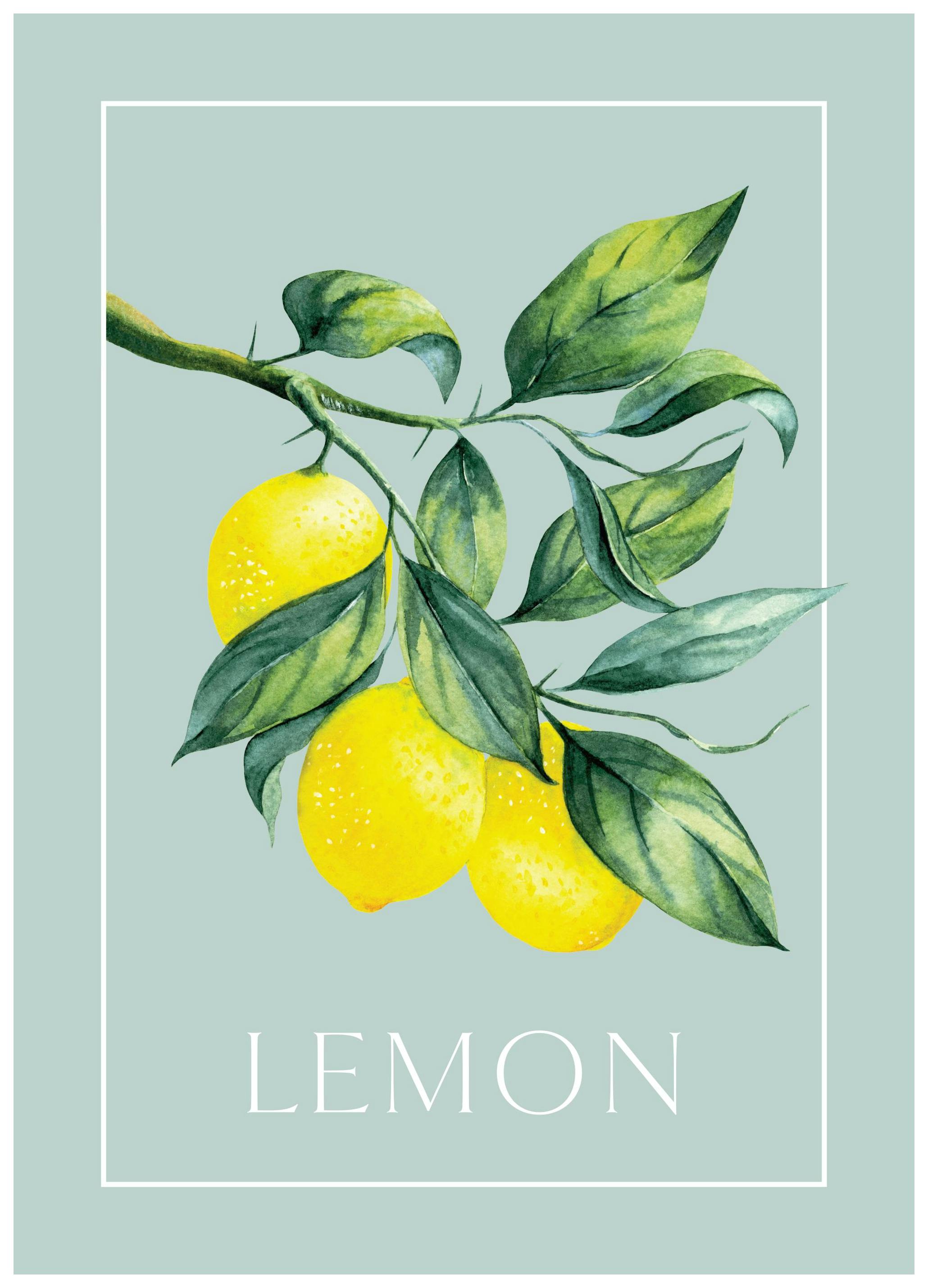 Vintage Lemons Poster (50x70 cm)