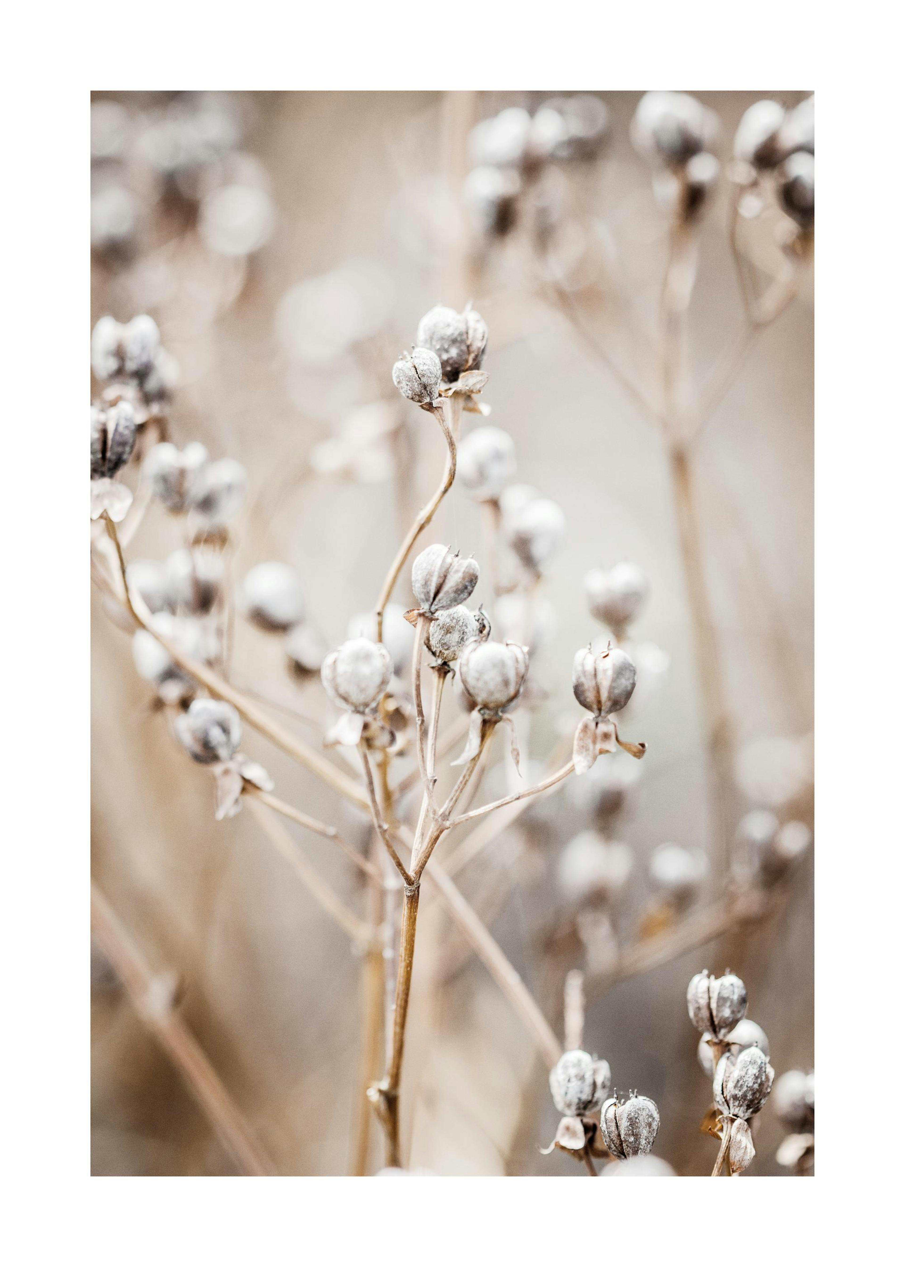 Autumn Nature Poster 0