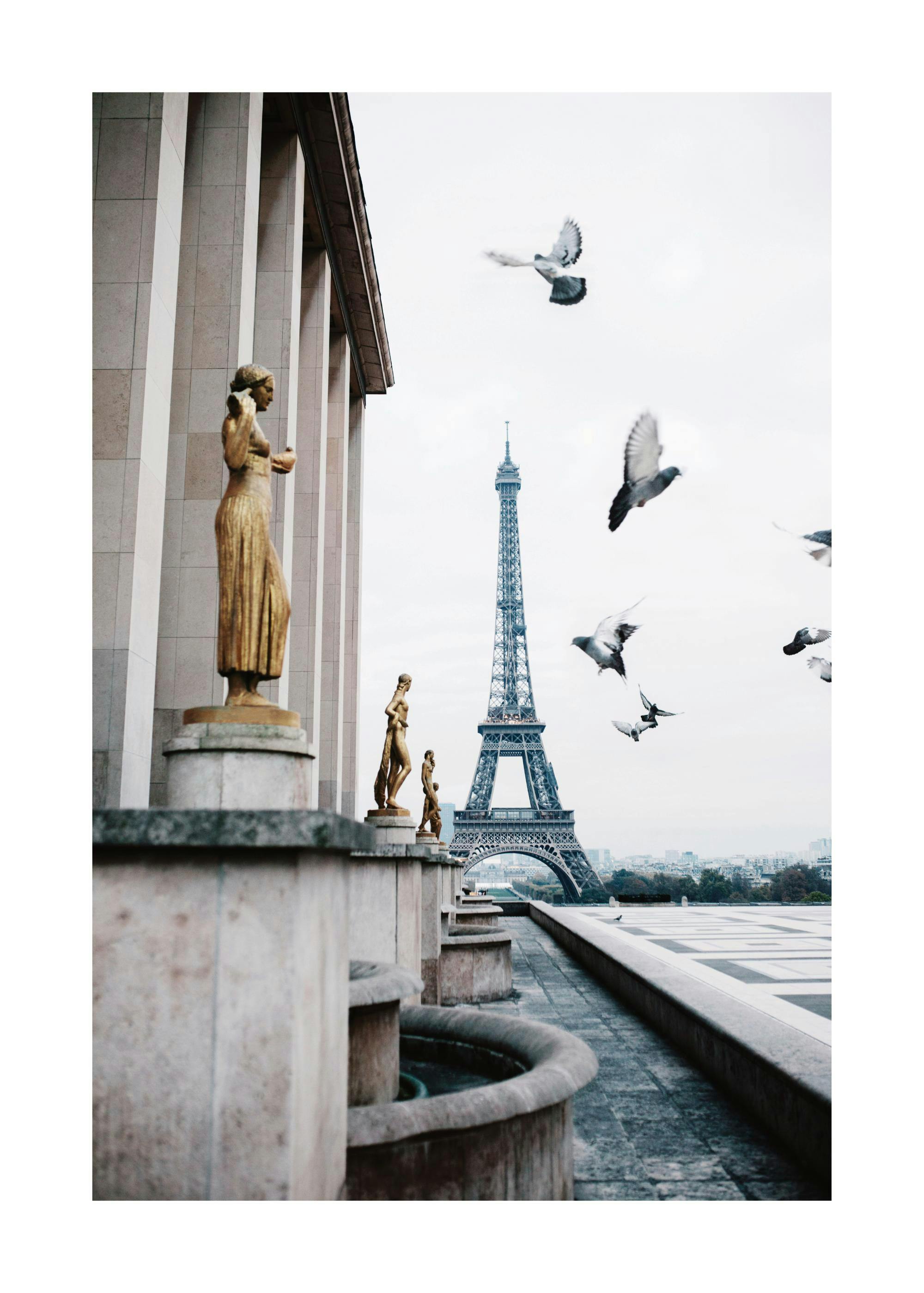 Affiche de Paris, Tour Eiffel, statues dorées et pigeons en plein vol