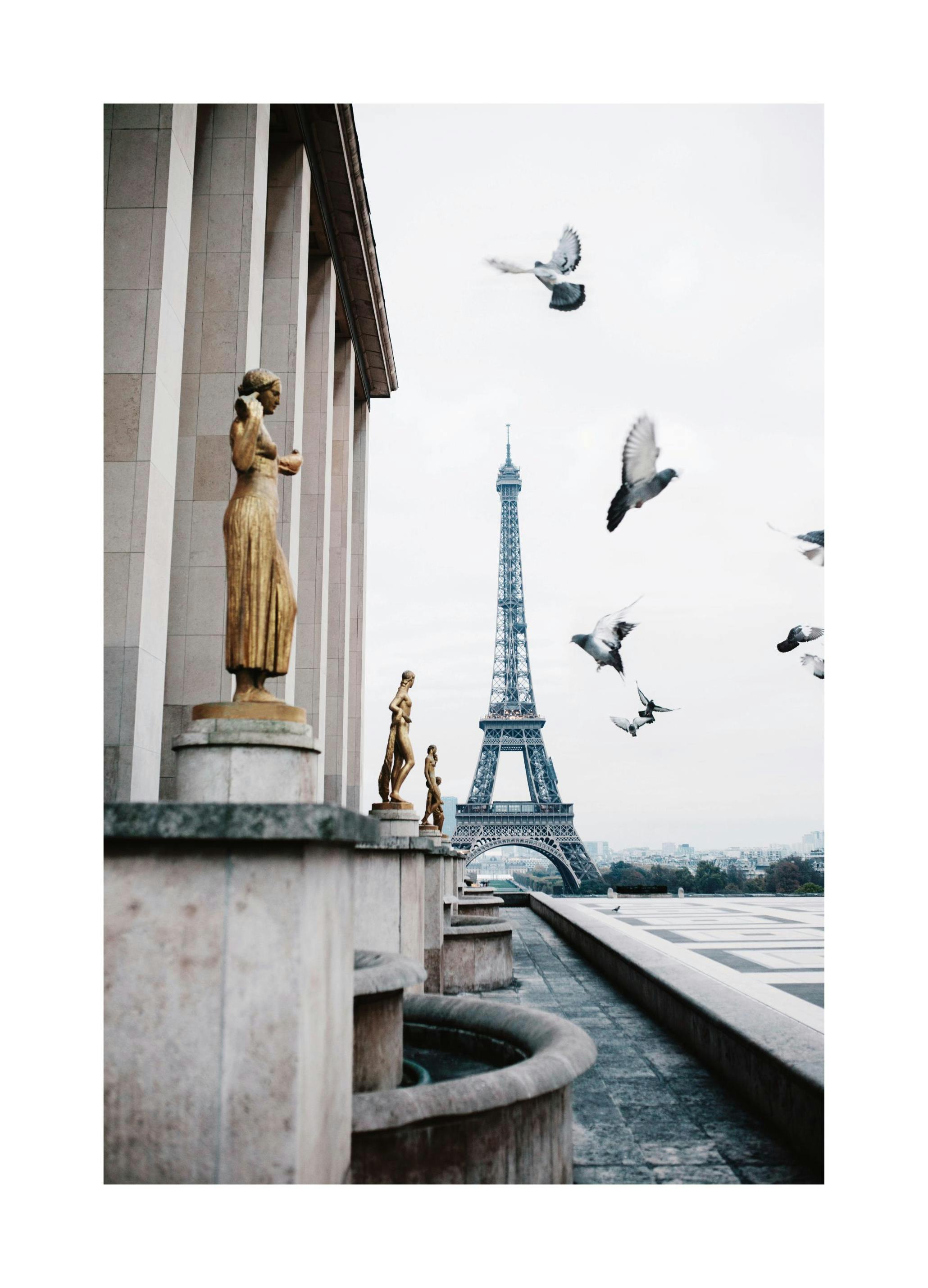 Eiffel Tower and Flying Pigeons Affiche (50x70 cm) - Tableaux de Paris