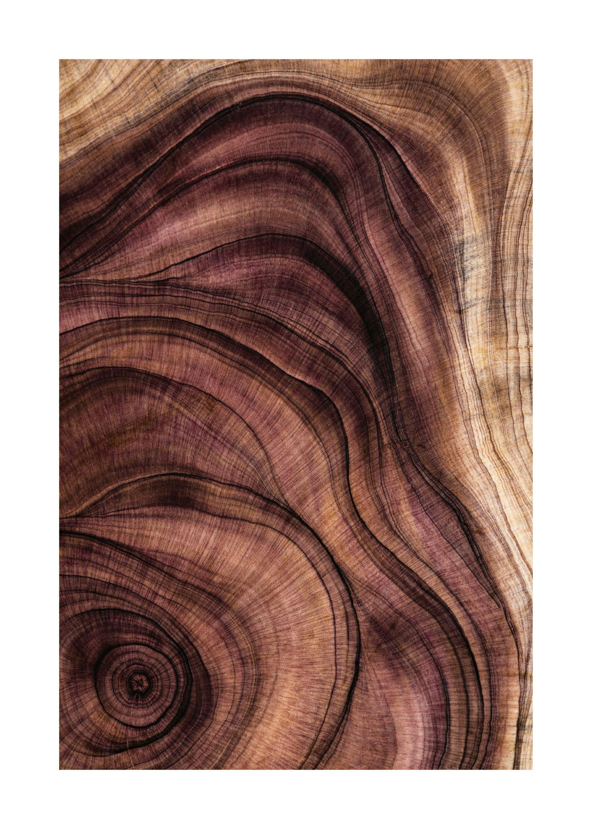 Holzmuster-Poster: Nahaufnahme von braunen Holzmaserungen mit organischen Linien und Mustern, Natur-Wandkunst