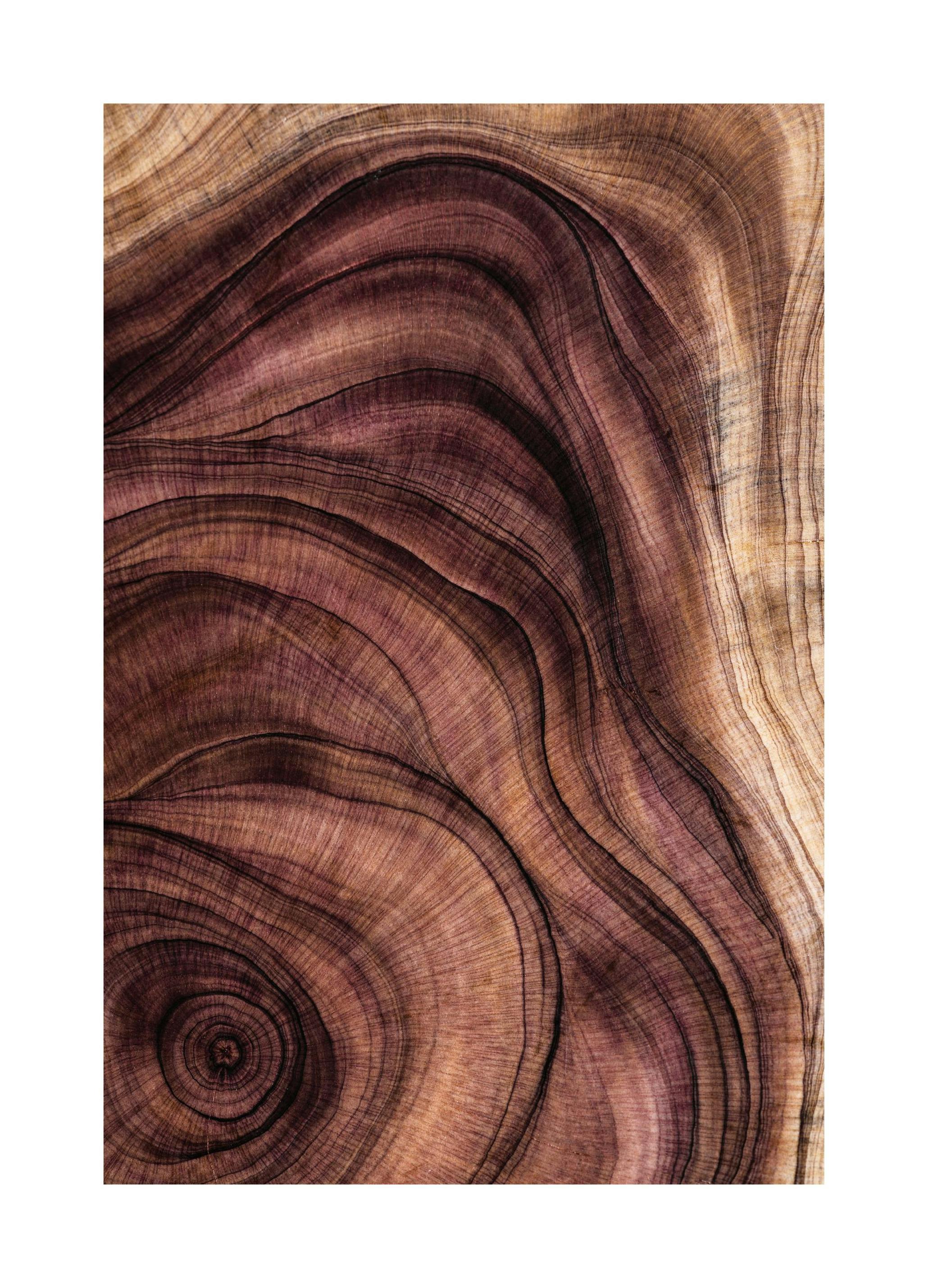 Wood Pattern Affiche (50x70 cm) - Affiches nature par Desenio