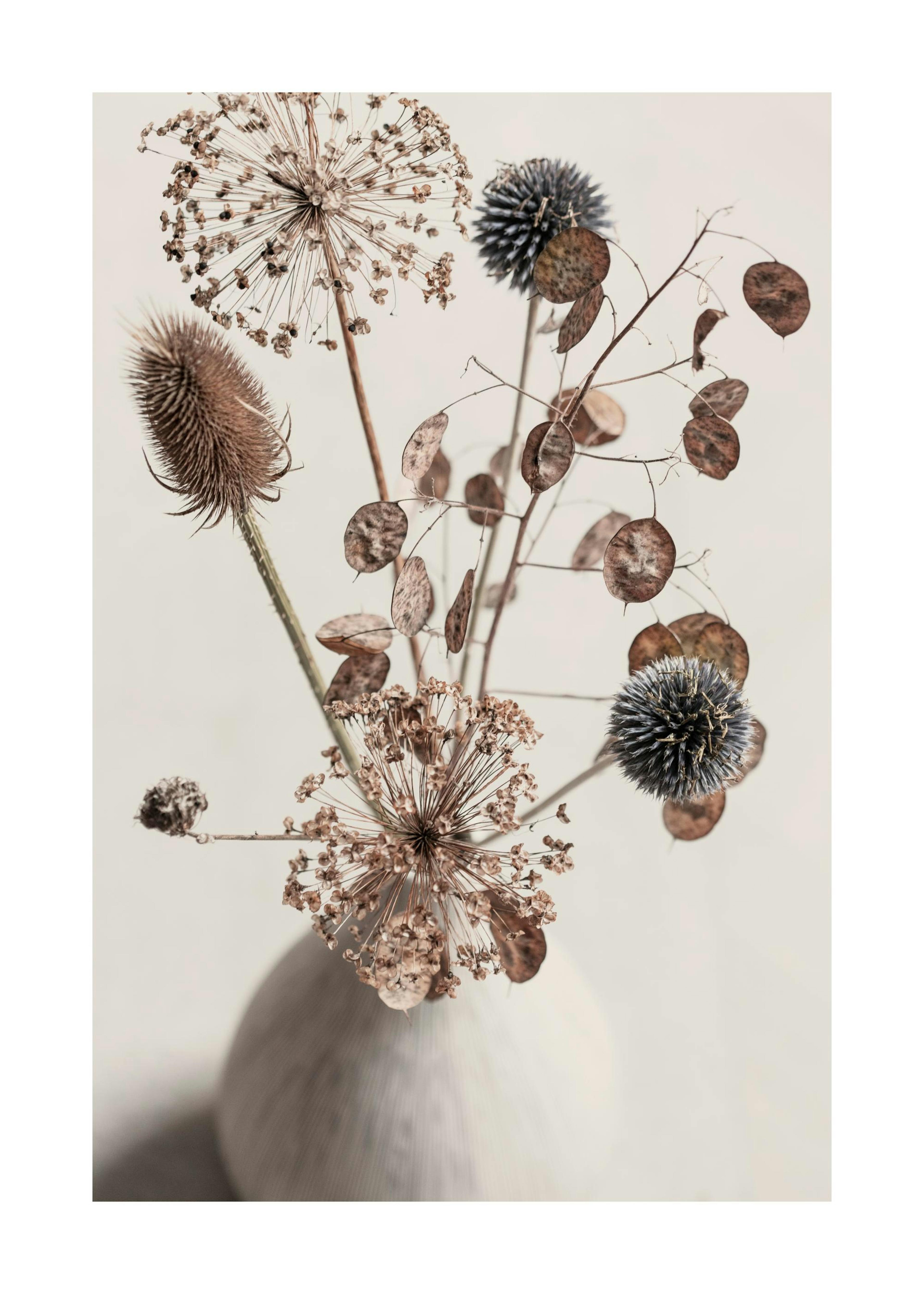 Delicate Boquet Poster 0