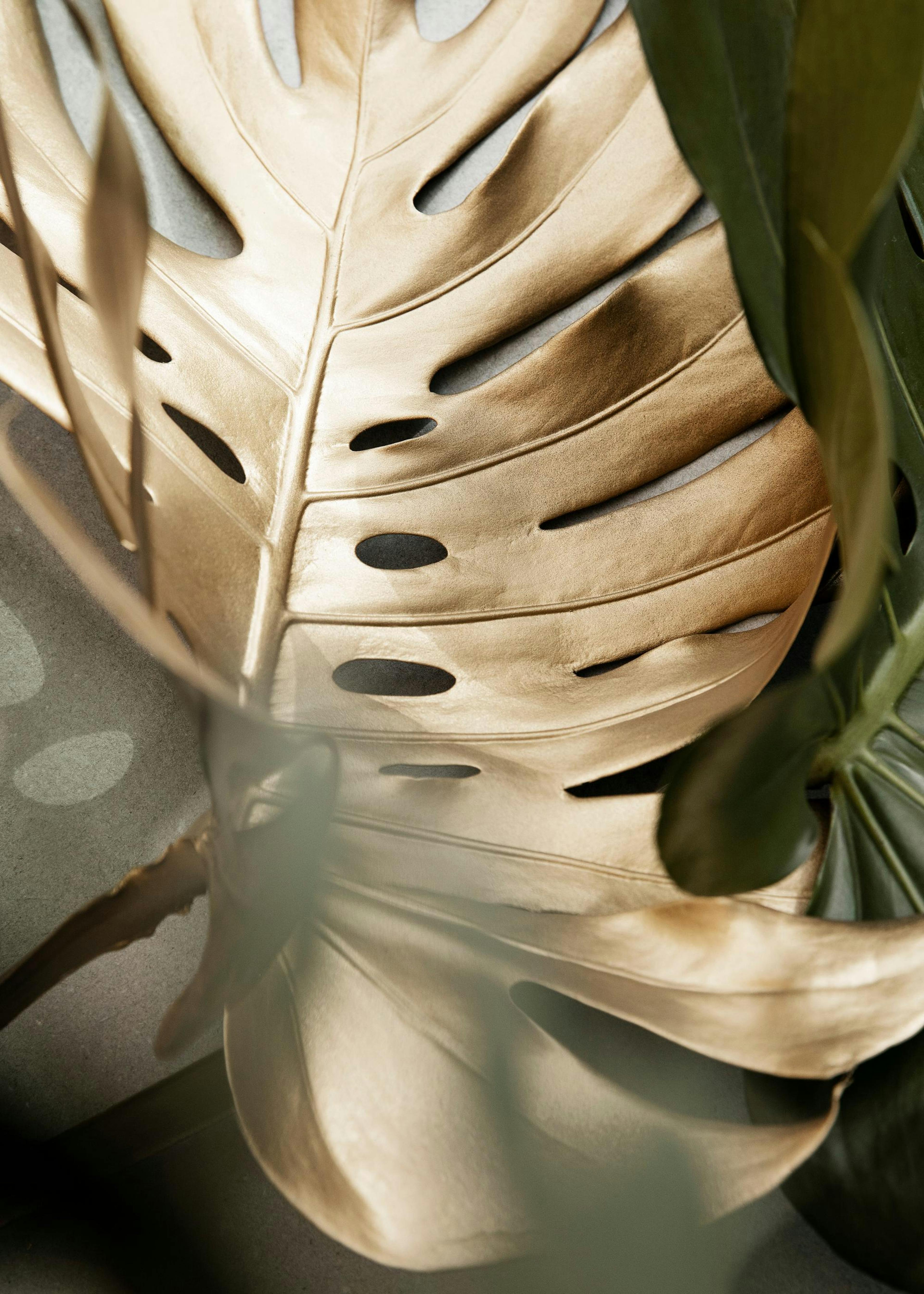 Product image: 1