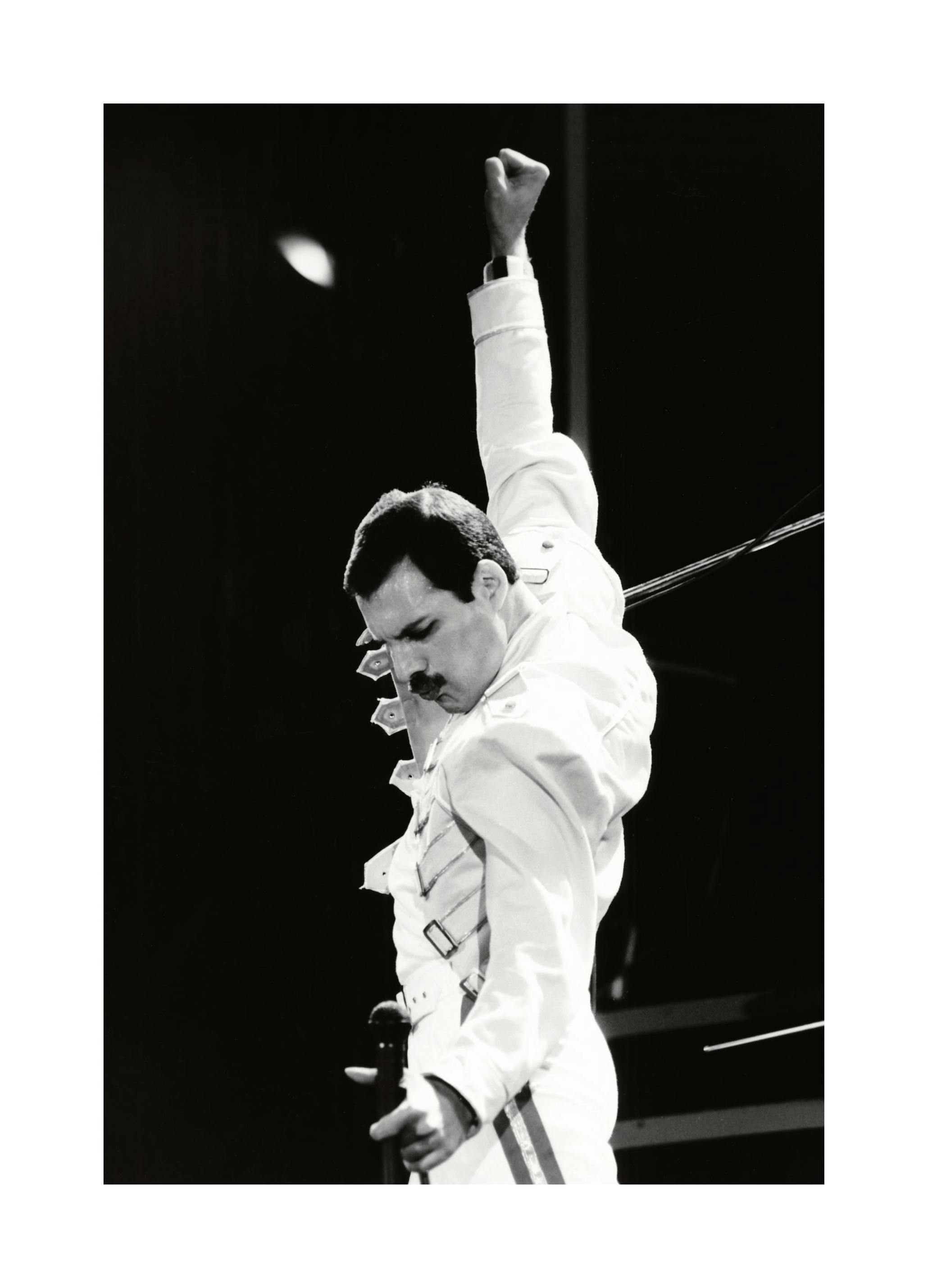 Freddie Mercury Print (50x70 cm)