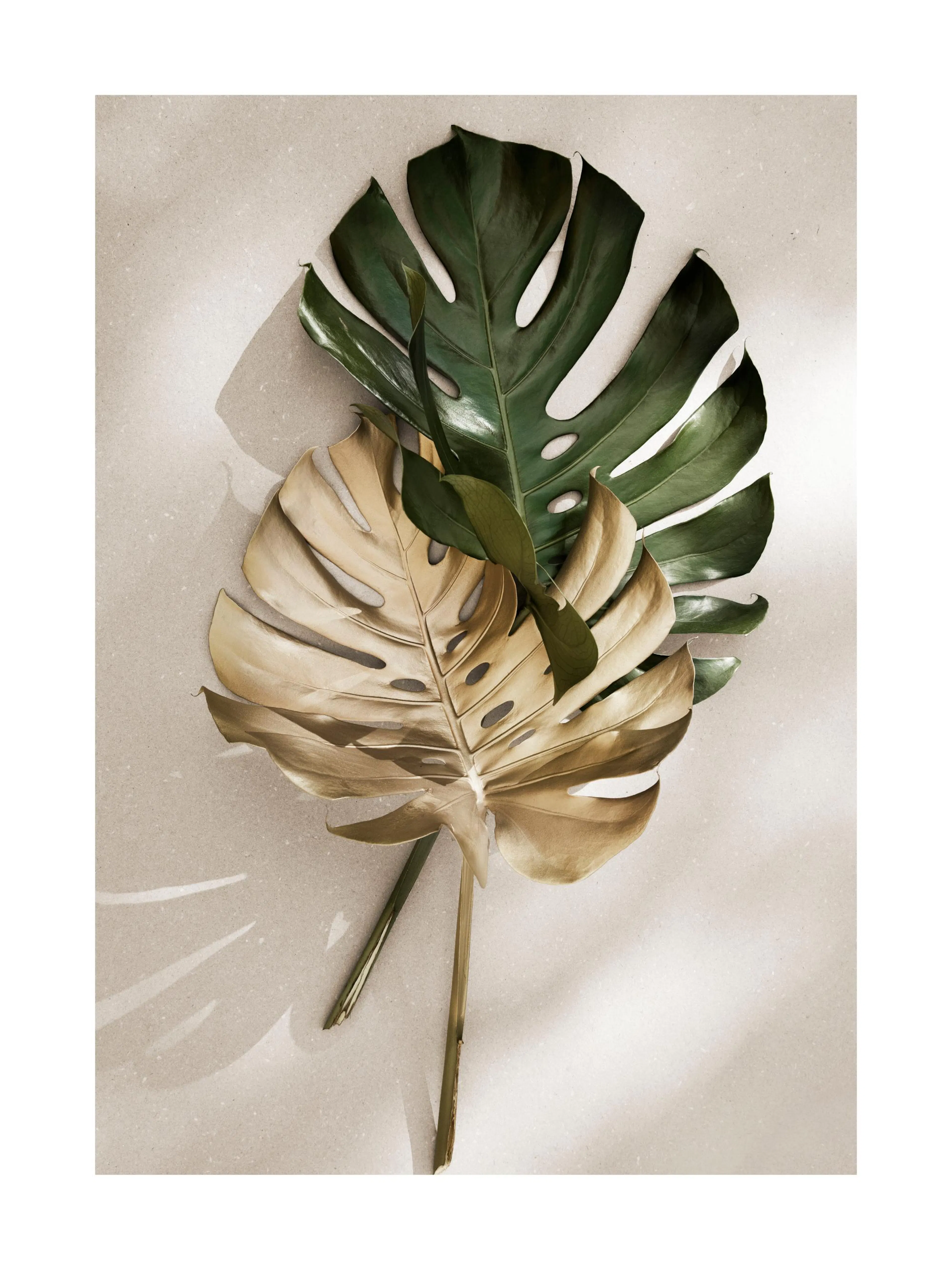 Gold and green monstera leaves on a light background, botanical poster print.