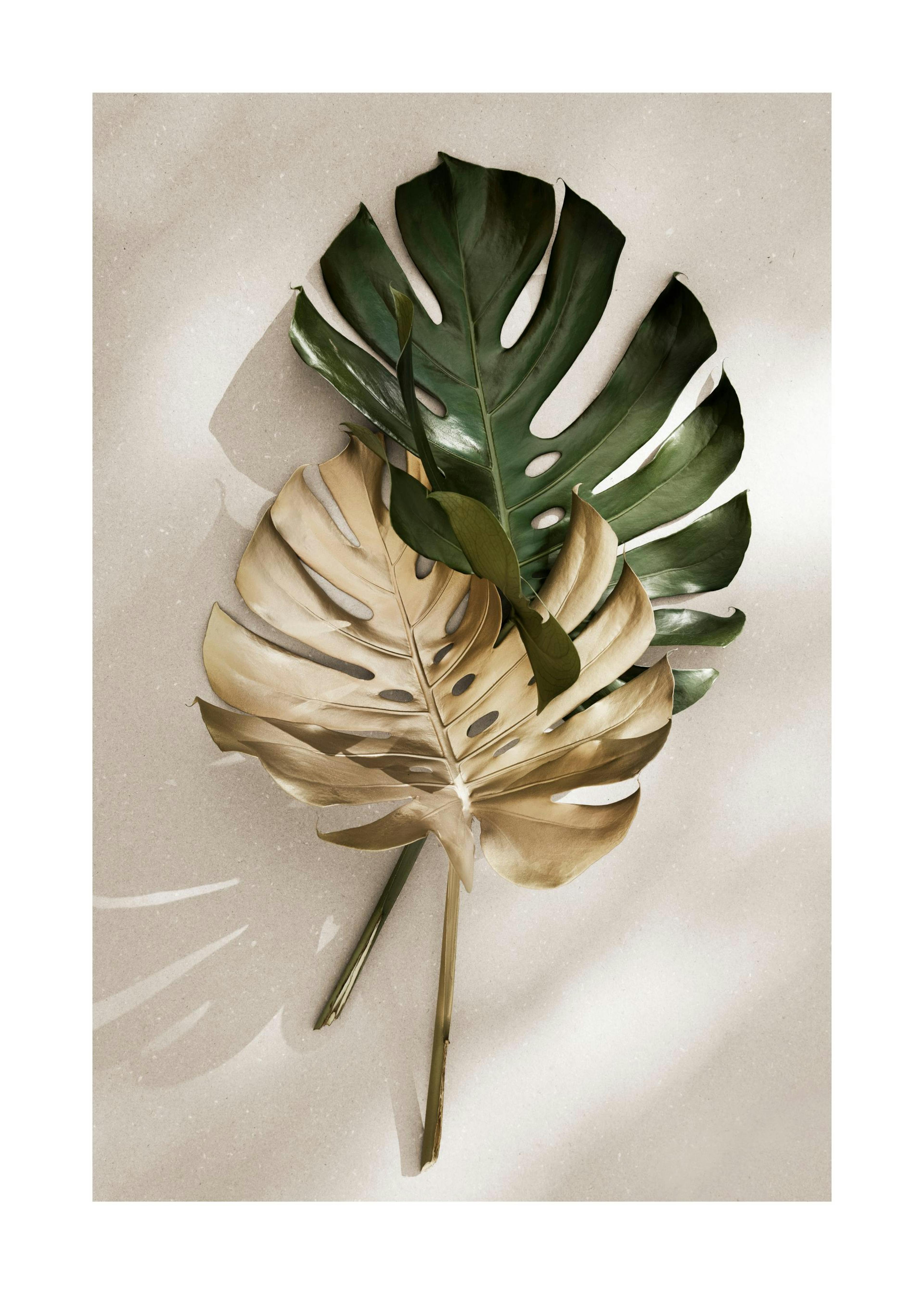 Gold Monstera No1 Print 0
