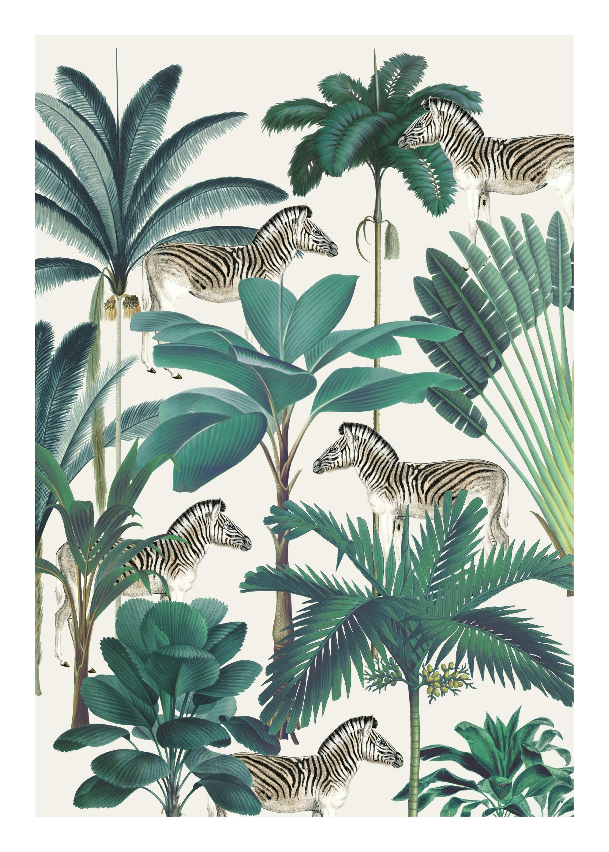 Botanical zebras print with lush green palms and tropical foliage on a light background. Safari animal poster.