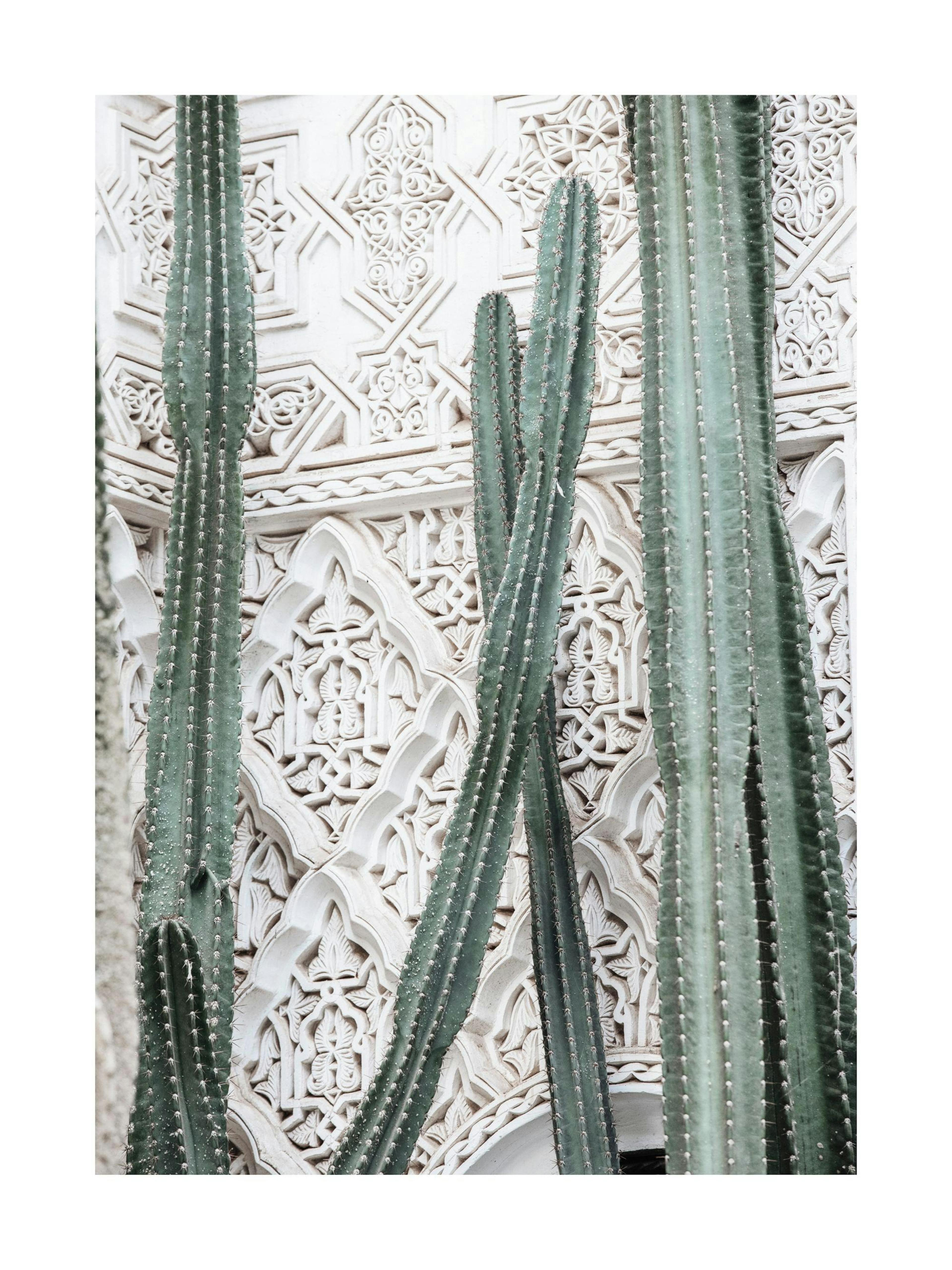 Product image: 1