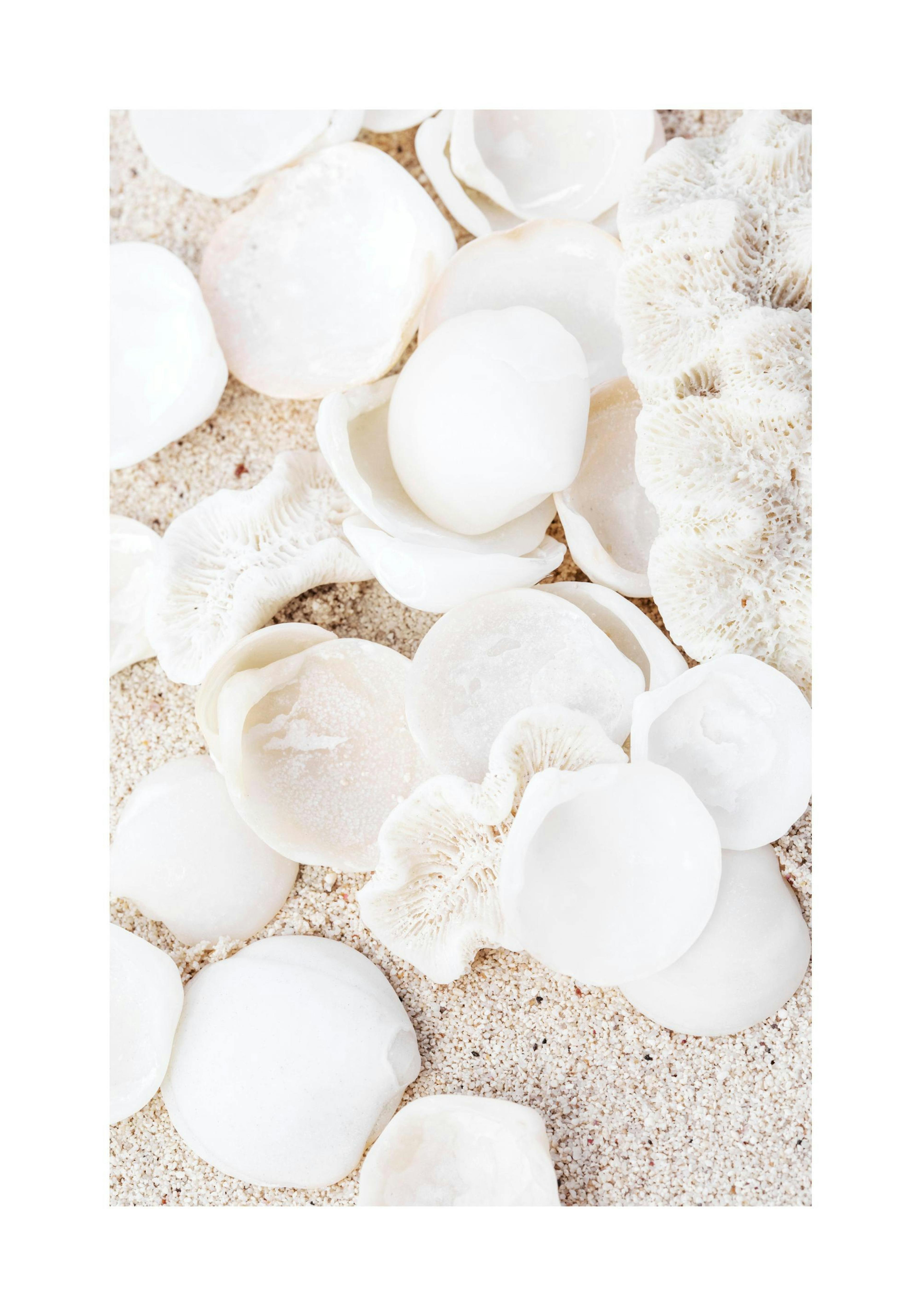 Product image: 1