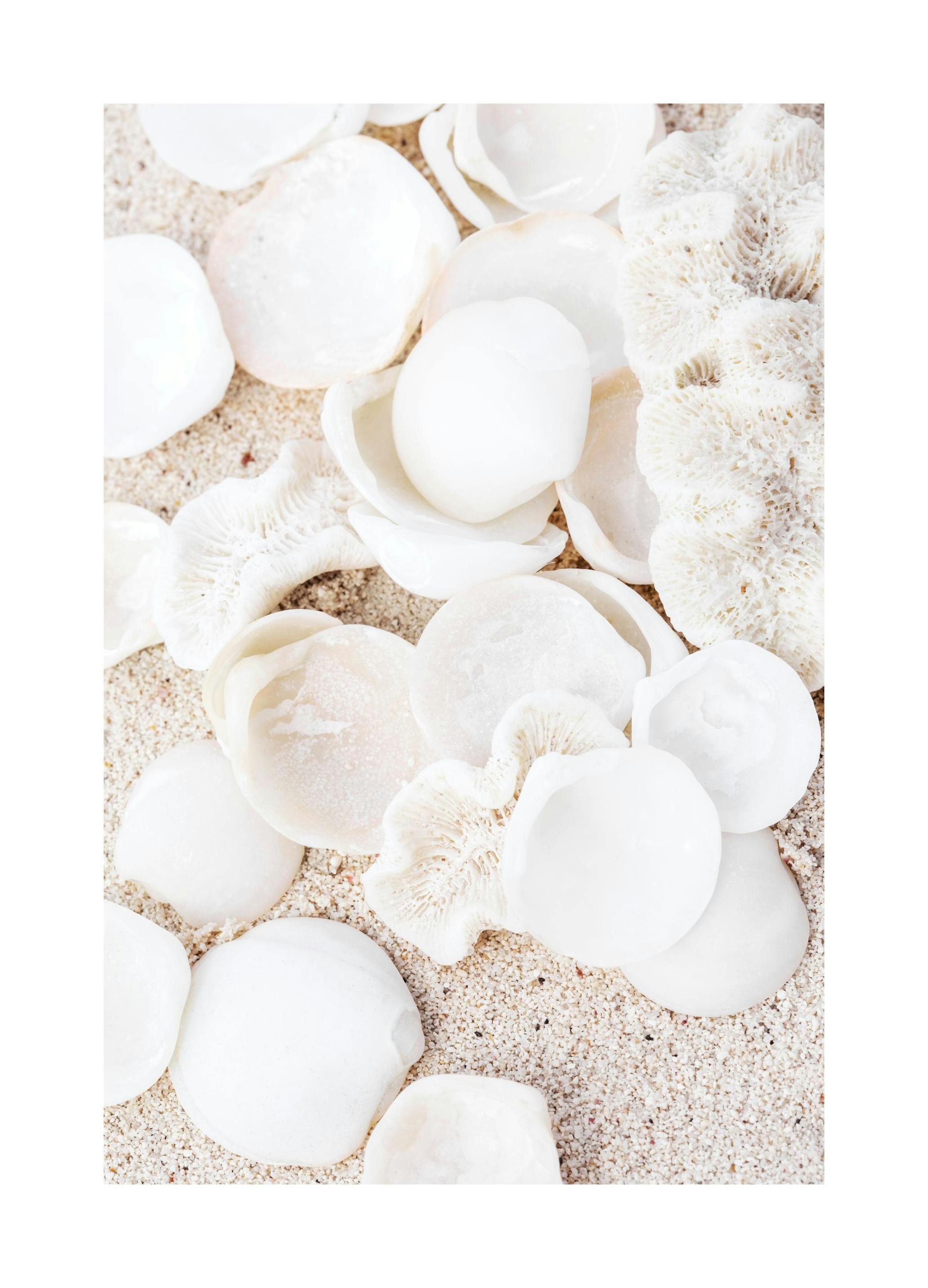Prints - Collecting Memories Print (30x40 cm) - Photography prints